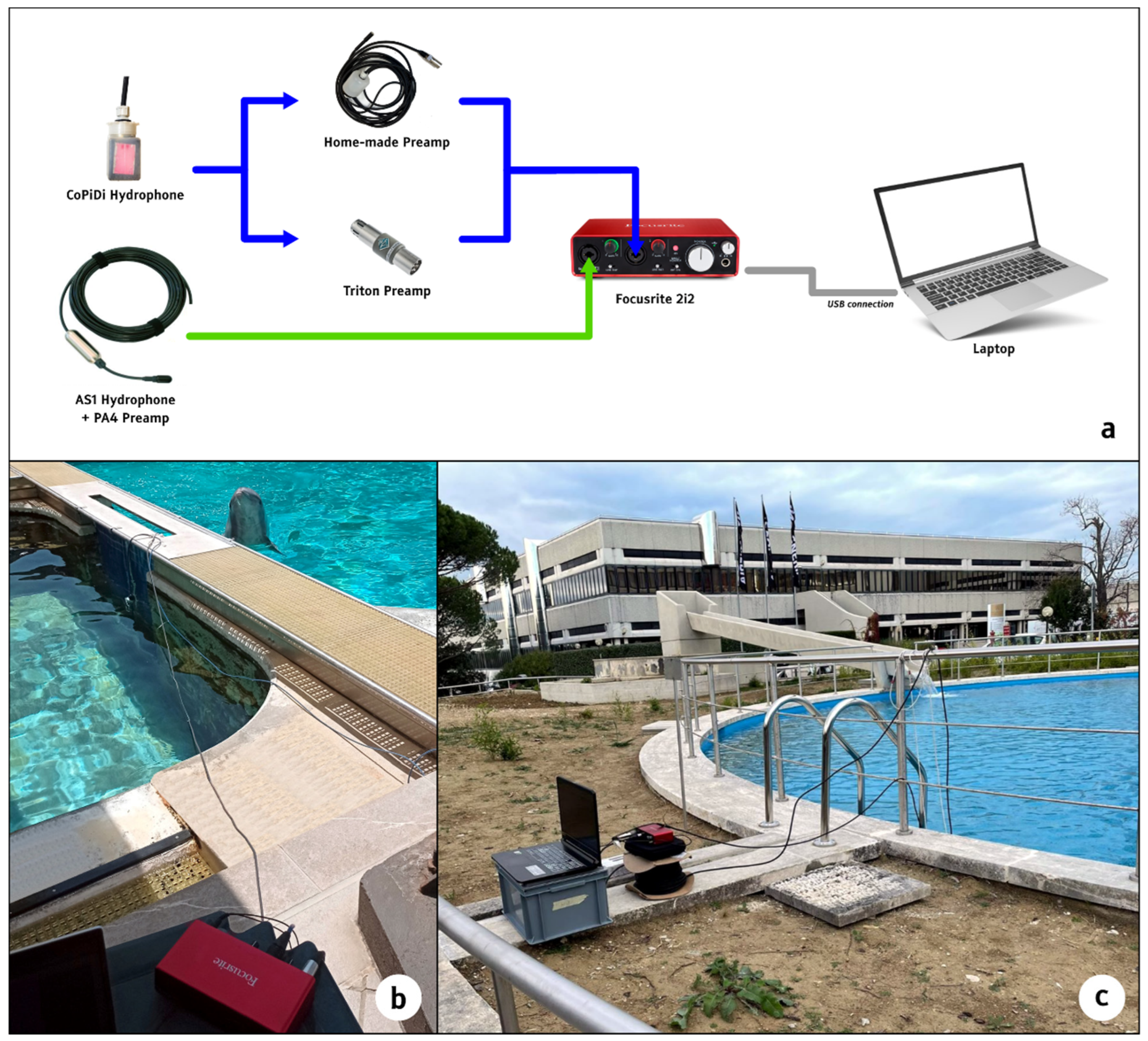 Remotesensing 15 01946 g003