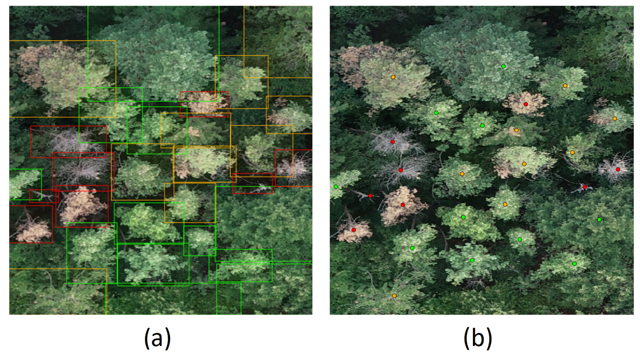 Remotesensing 15 01964 g001 Remotesensing 15 01964 g001
