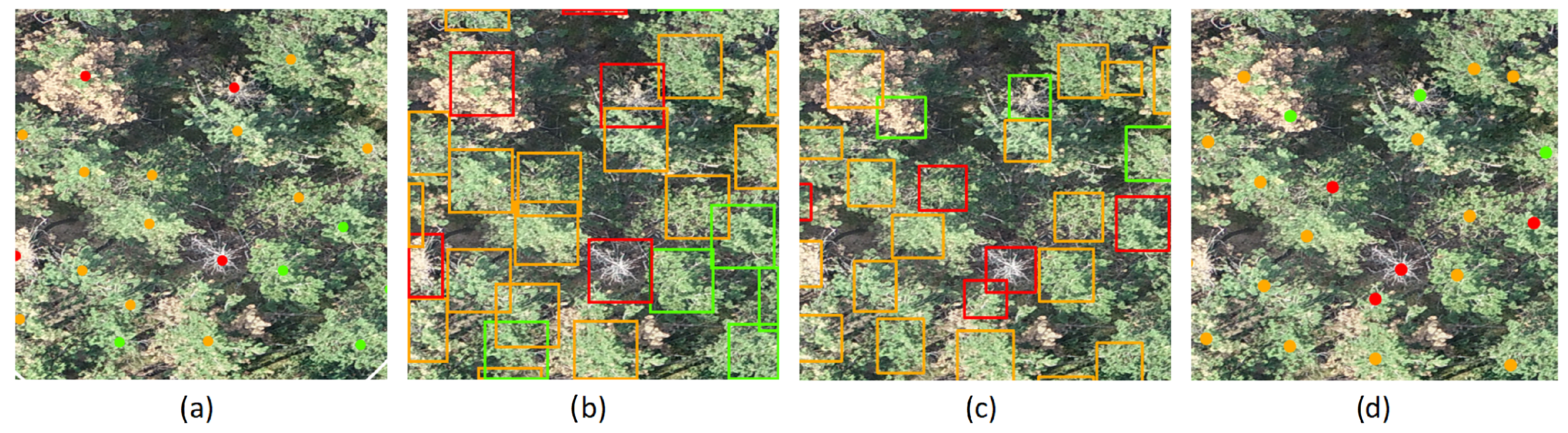 Remotesensing 15 01964 g004 Remotesensing 15 01964 g004