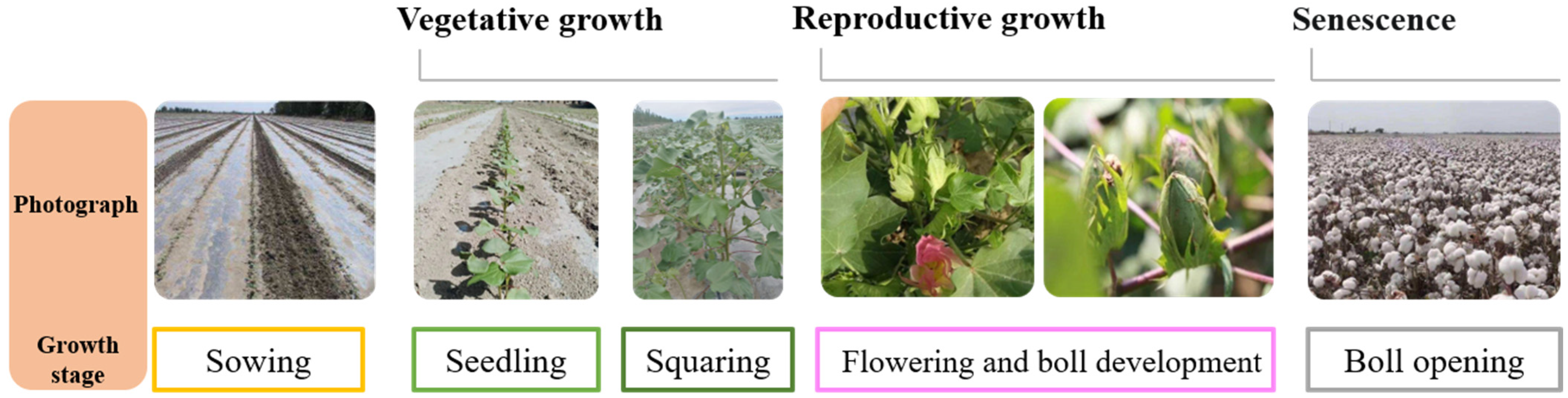 Remotesensing 15 01988 g002