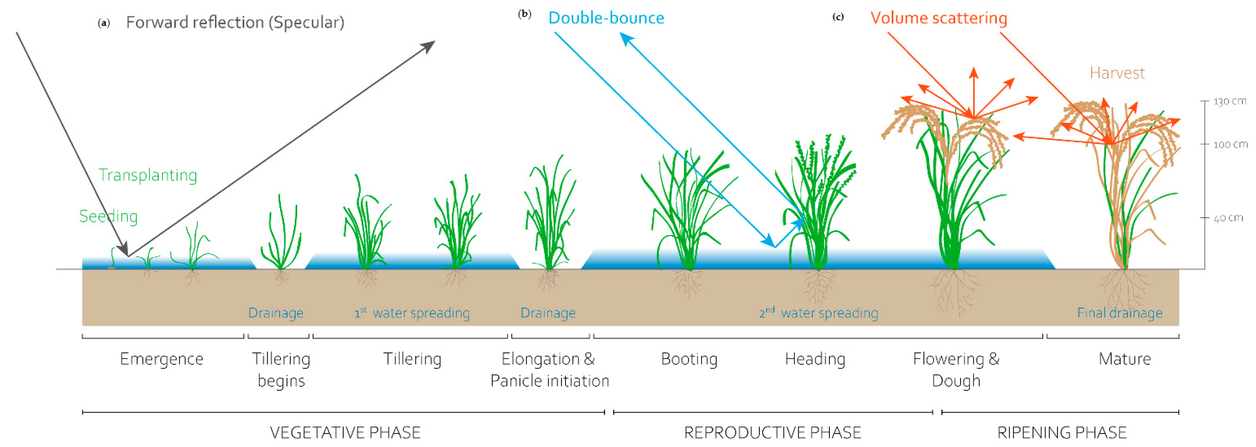 Remotesensing 15 02001 g002