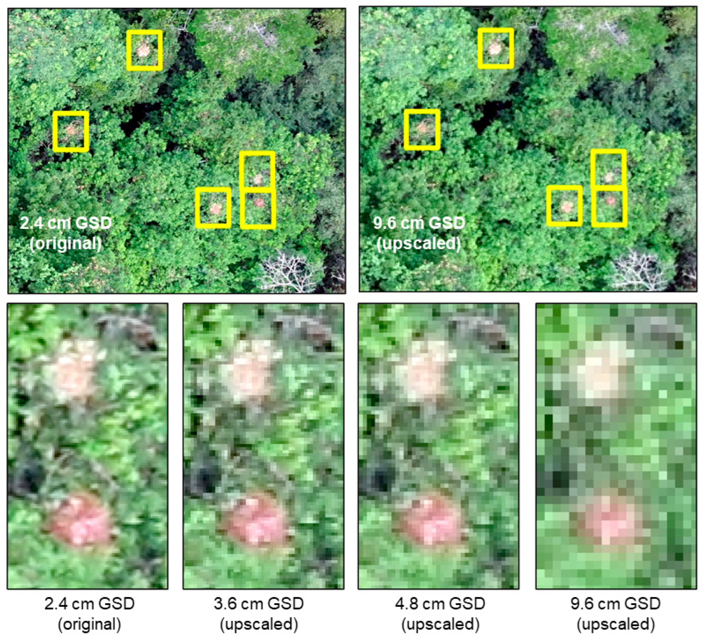 Remotesensing 15 02019 g002 Remotesensing 15 02019 g002