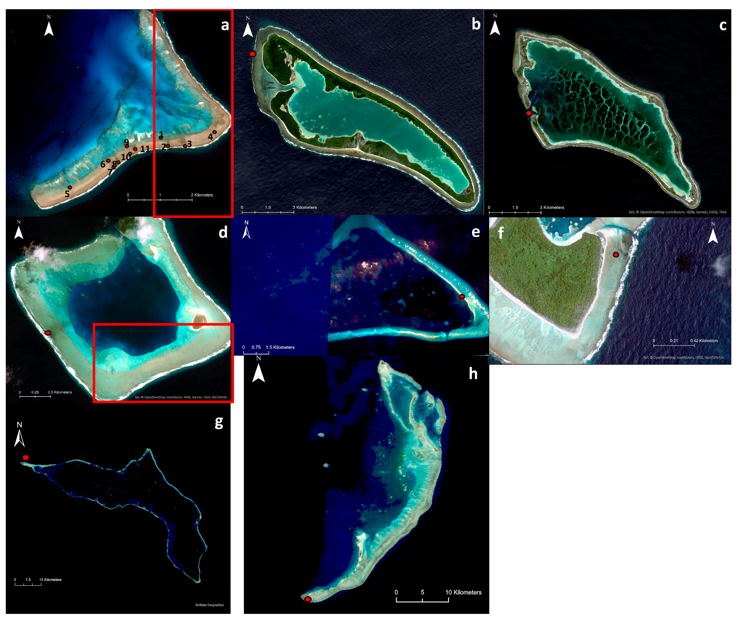 Remotesensing 15 02030 g002