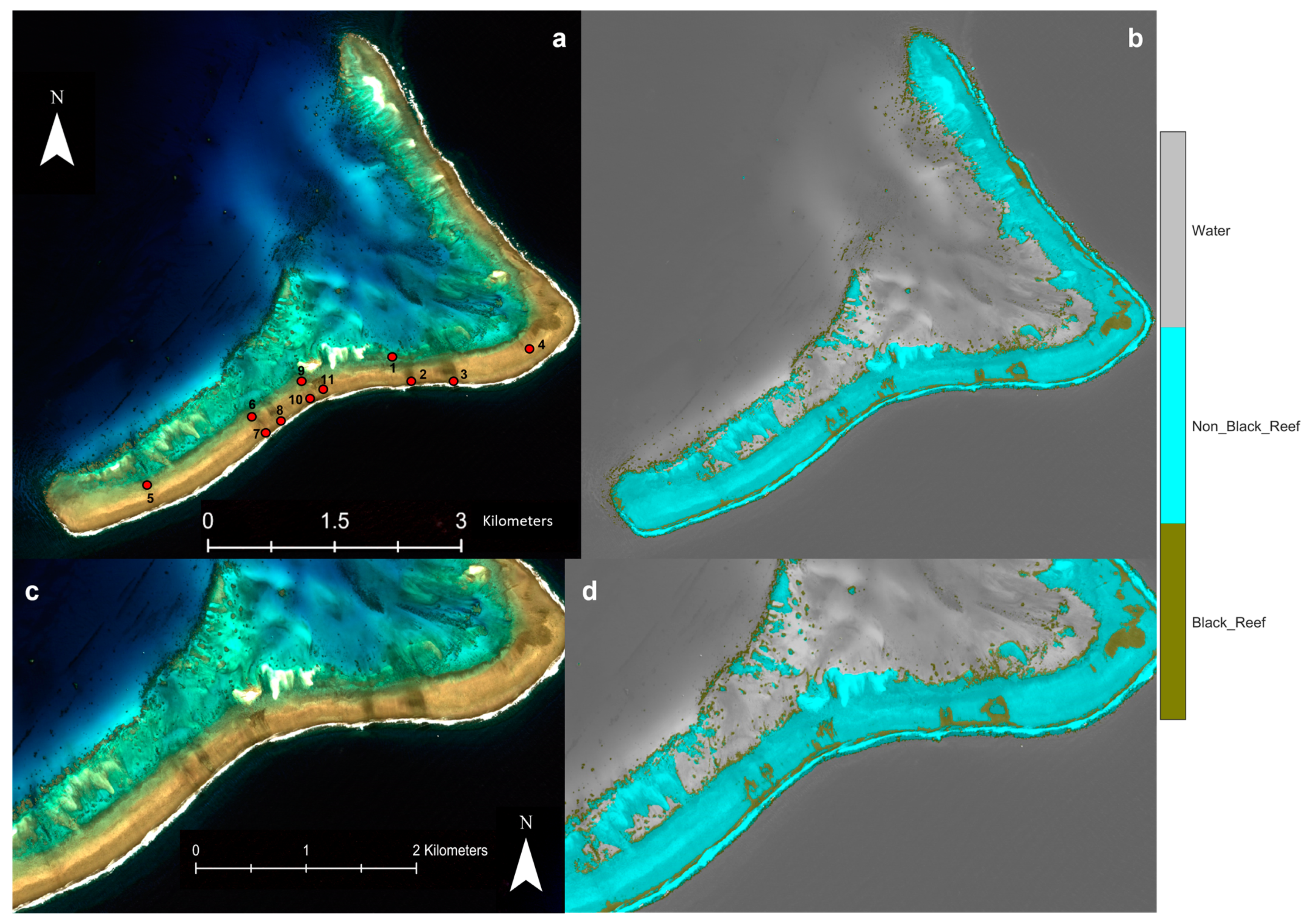 Remotesensing 15 02030 g007