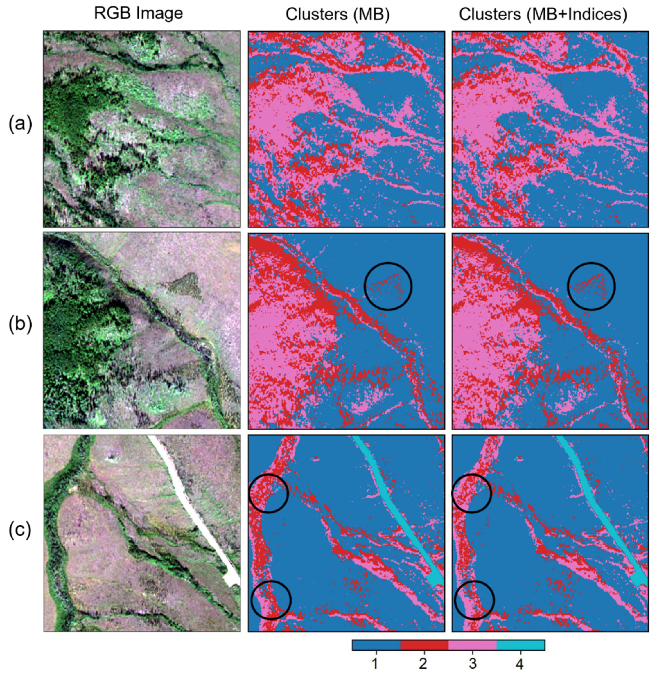 Remotesensing 15 02061 g0a1 Remotesensing 15 02061 g0a1