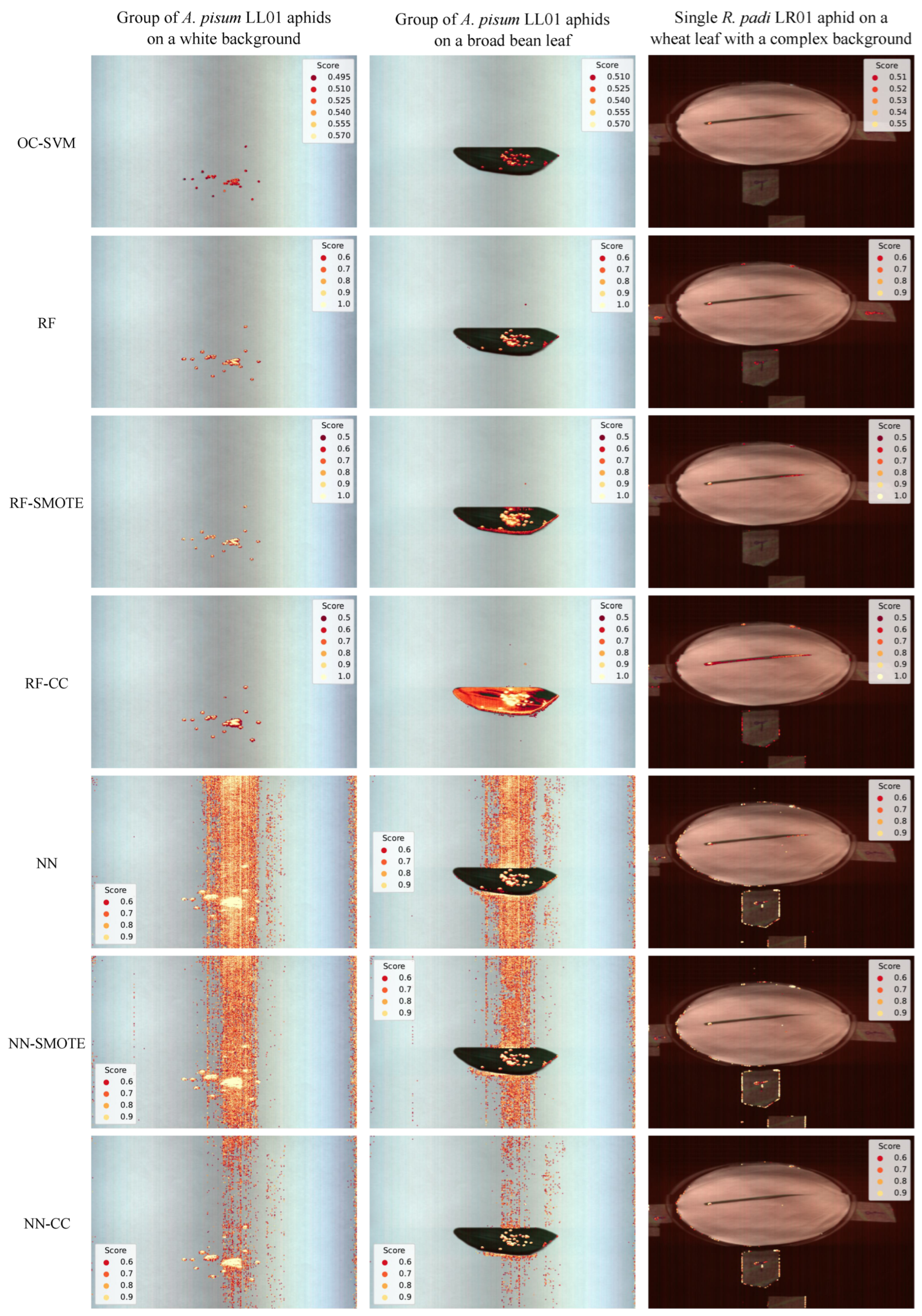 Remotesensing 15 02103 g007