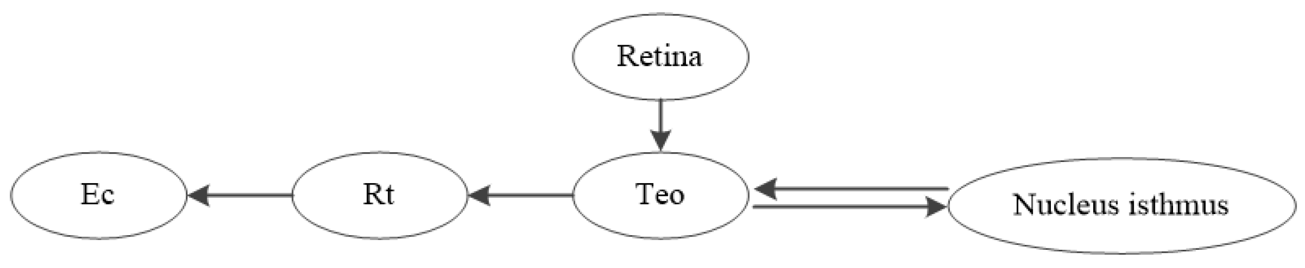 Remotesensing 15 02106 g008