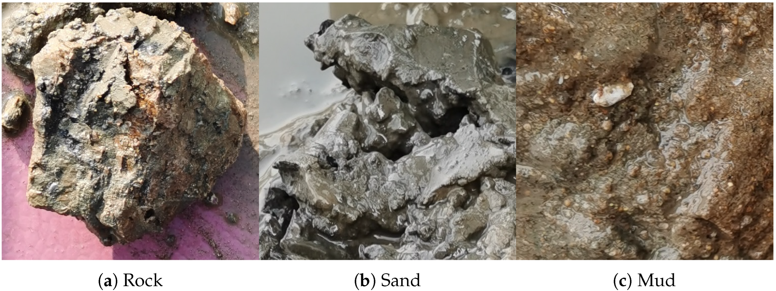 Remotesensing 15 02178 g002