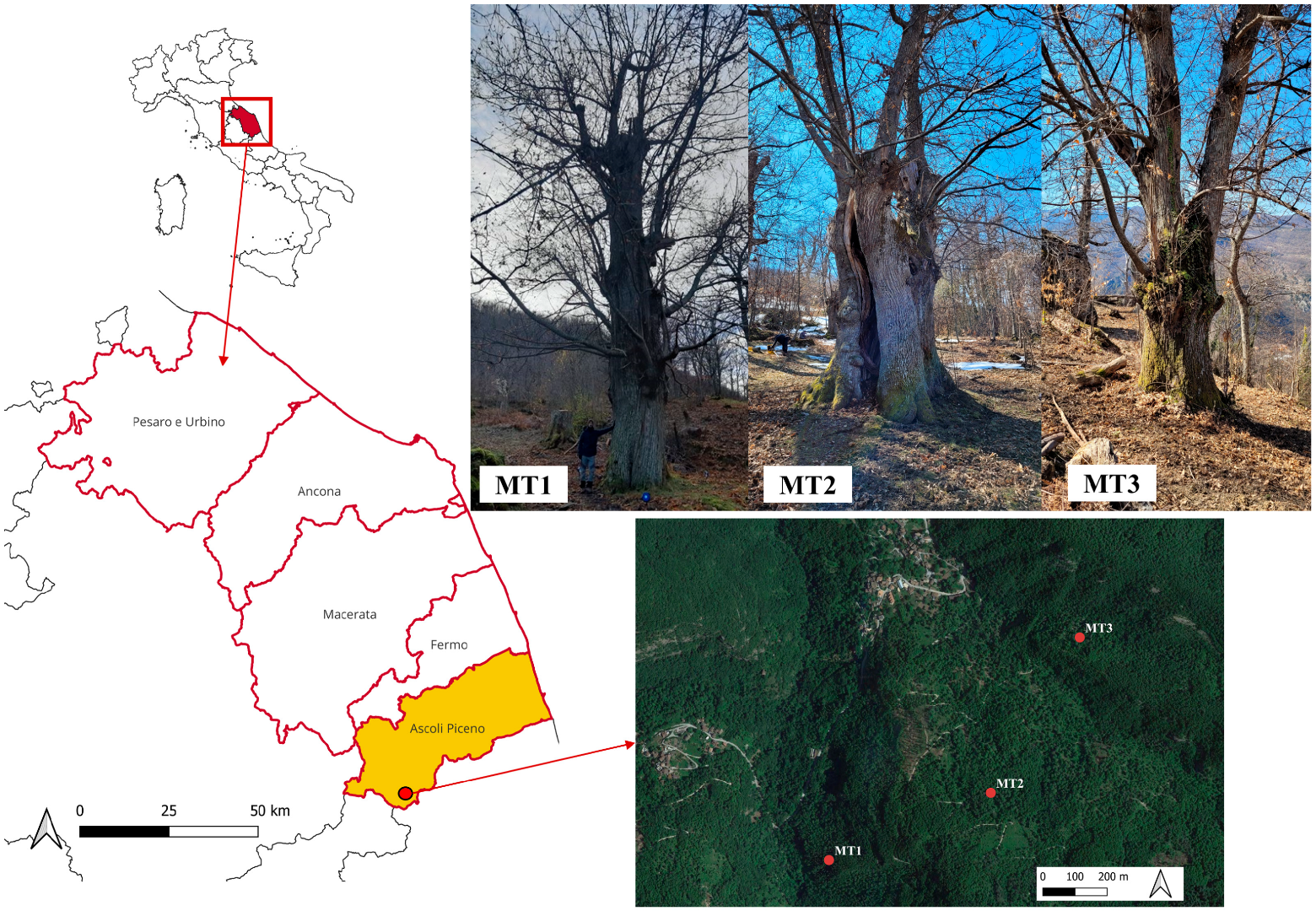 Remotesensing 15 02197 g001 Remotesensing 15 02197 g001