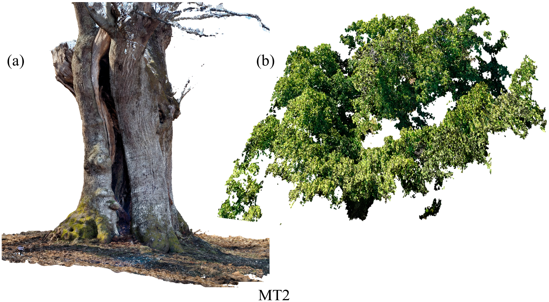 Remotesensing 15 02197 g004 Remotesensing 15 02197 g004