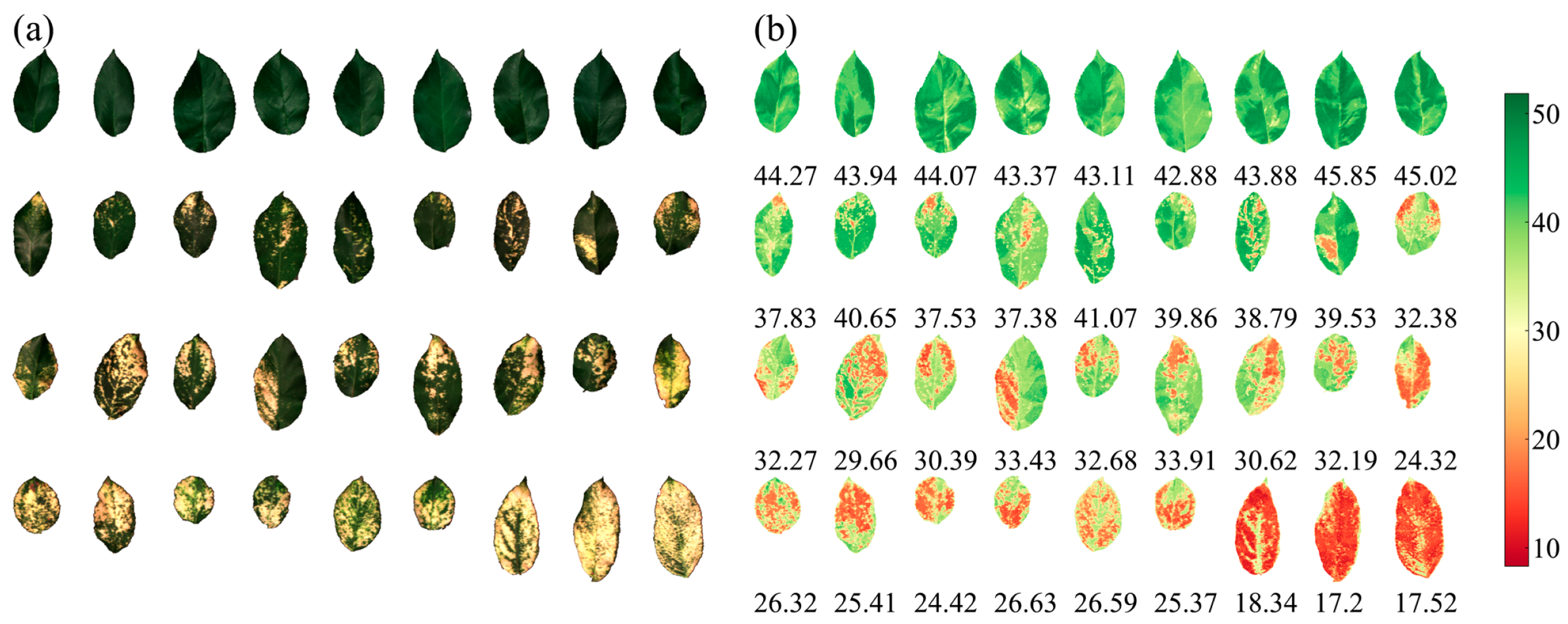 Remotesensing 15 02202 g007 Remotesensing 15 02202 g007