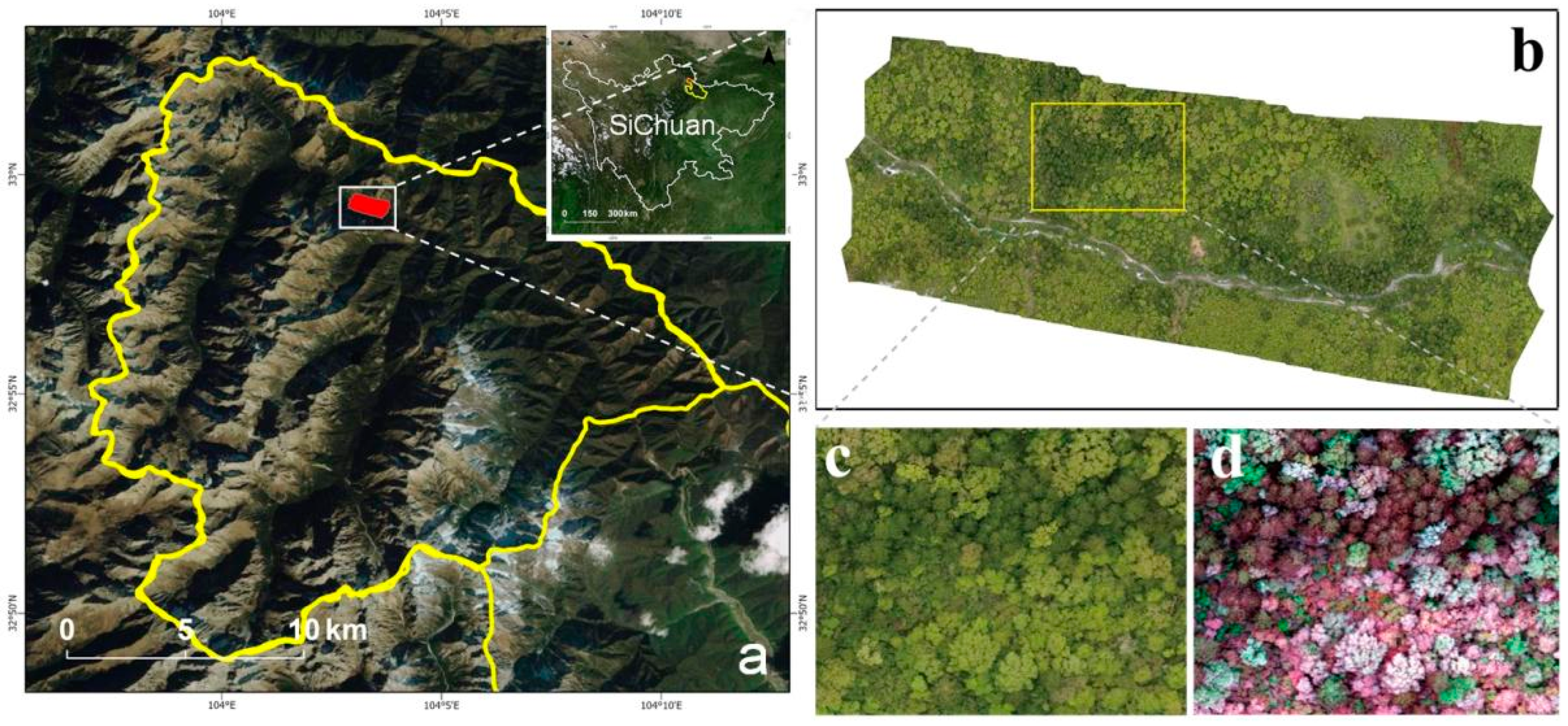 Remotesensing 15 02205 g001 Remotesensing 15 02205 g001
