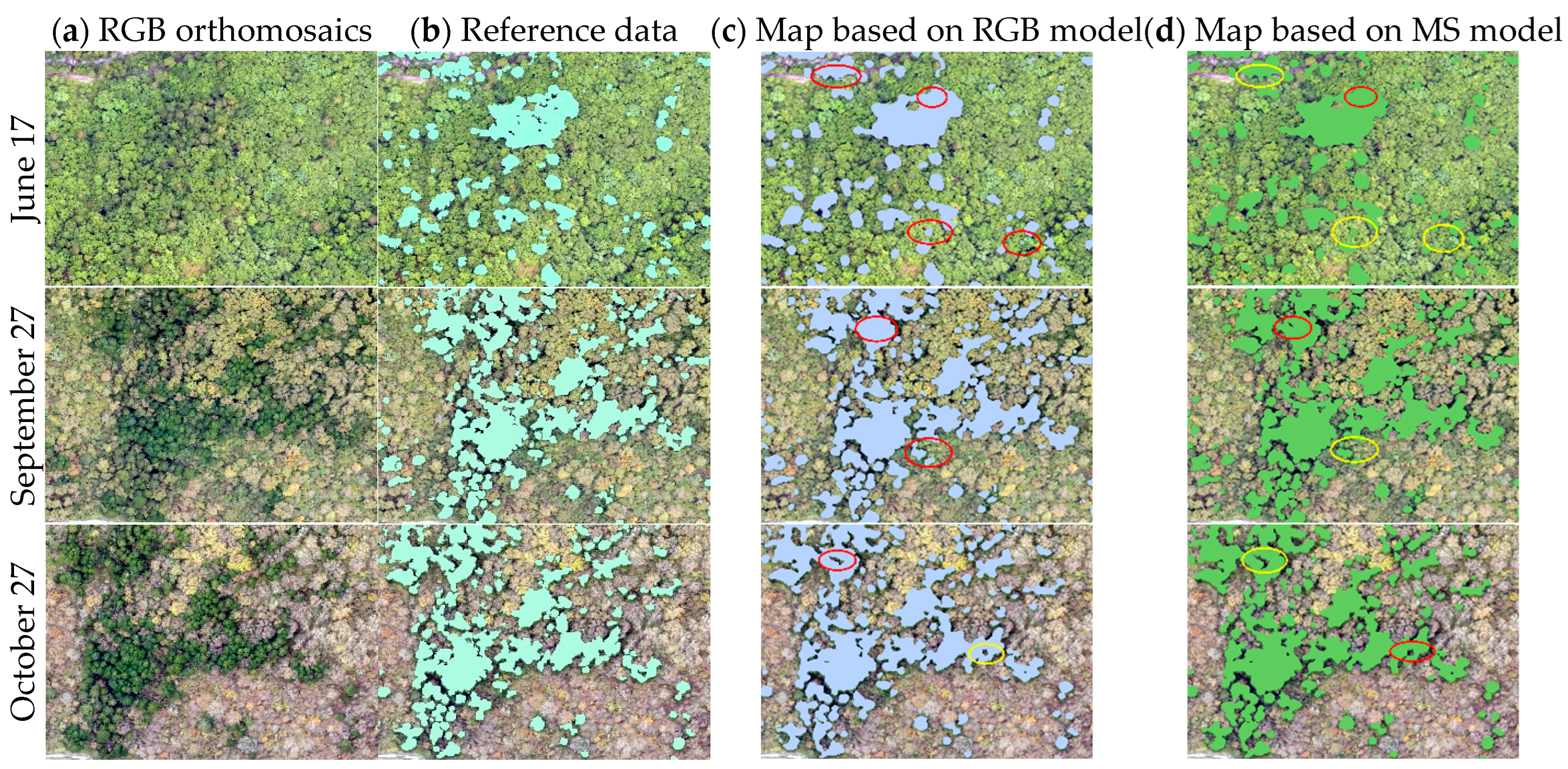 Remotesensing 15 02205 g008 Remotesensing 15 02205 g008