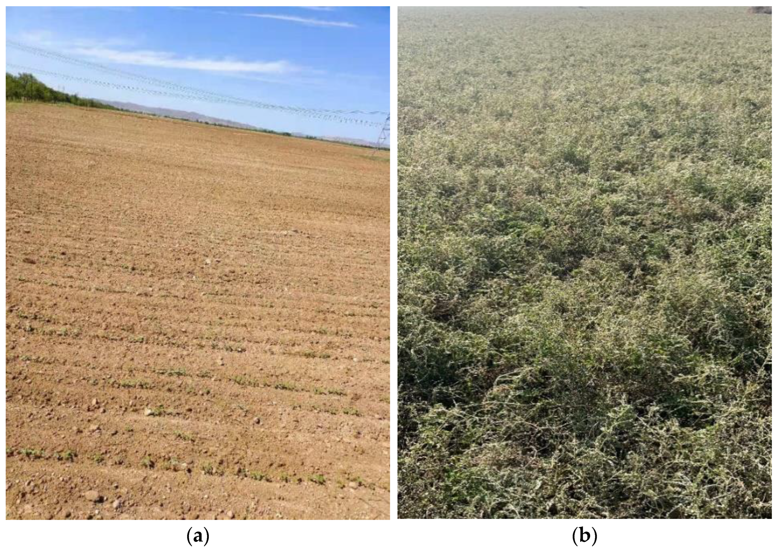 Remotesensing 15 02233 g015 Remotesensing 15 02233 g015