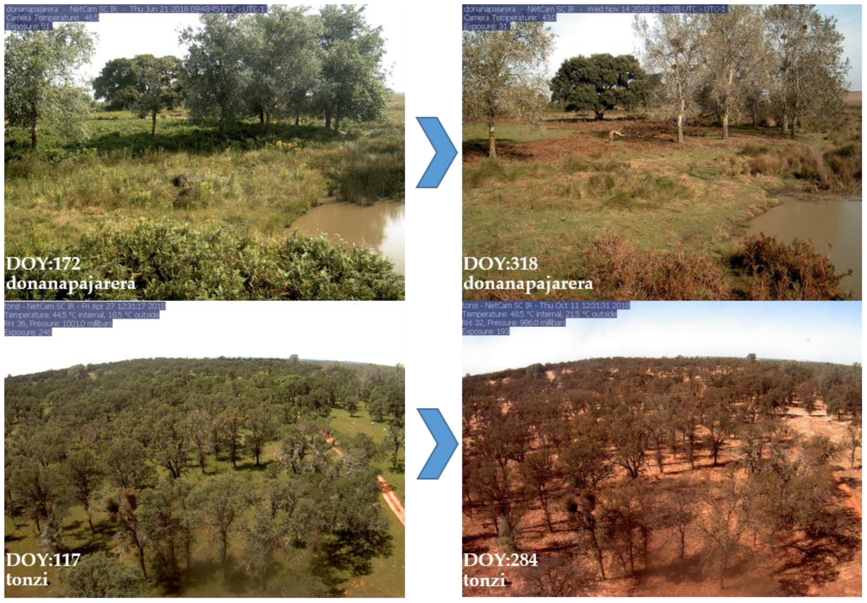 Remotesensing 15 02266 g010 Remotesensing 15 02266 g010