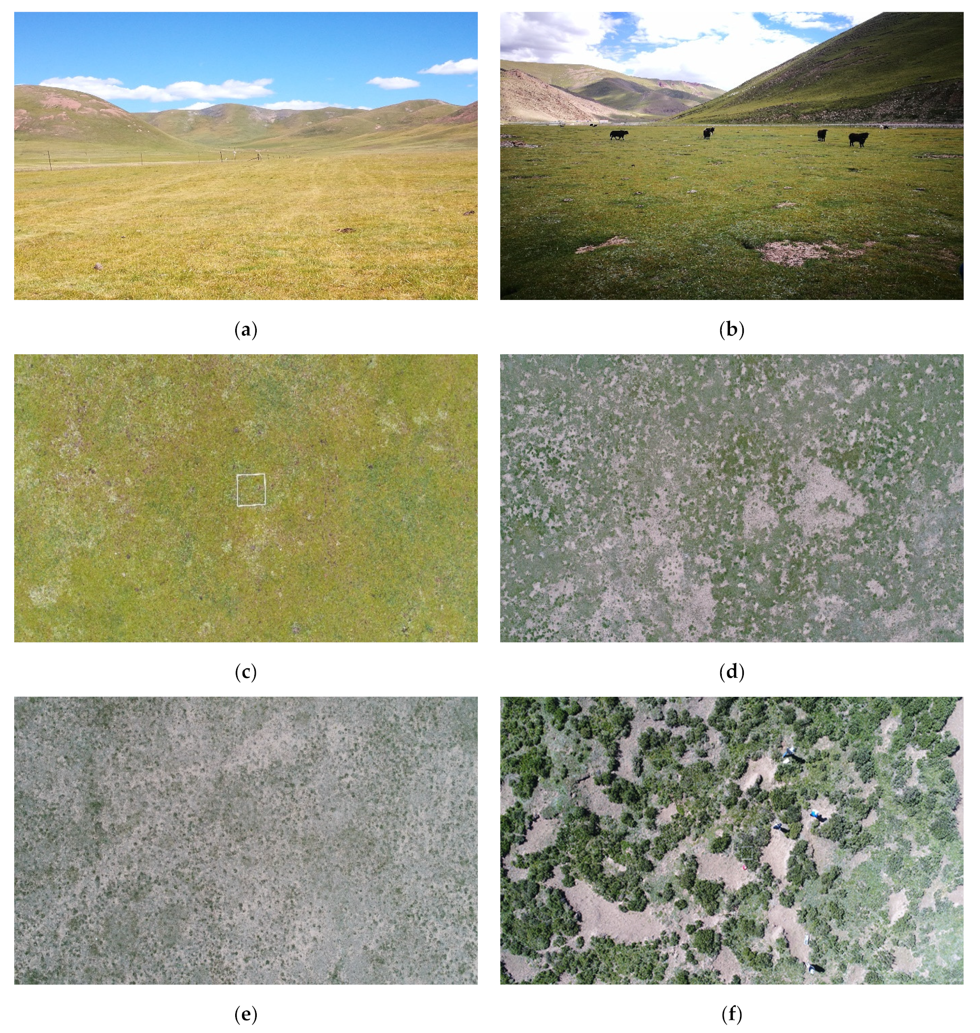 Remotesensing 15 02289 g002