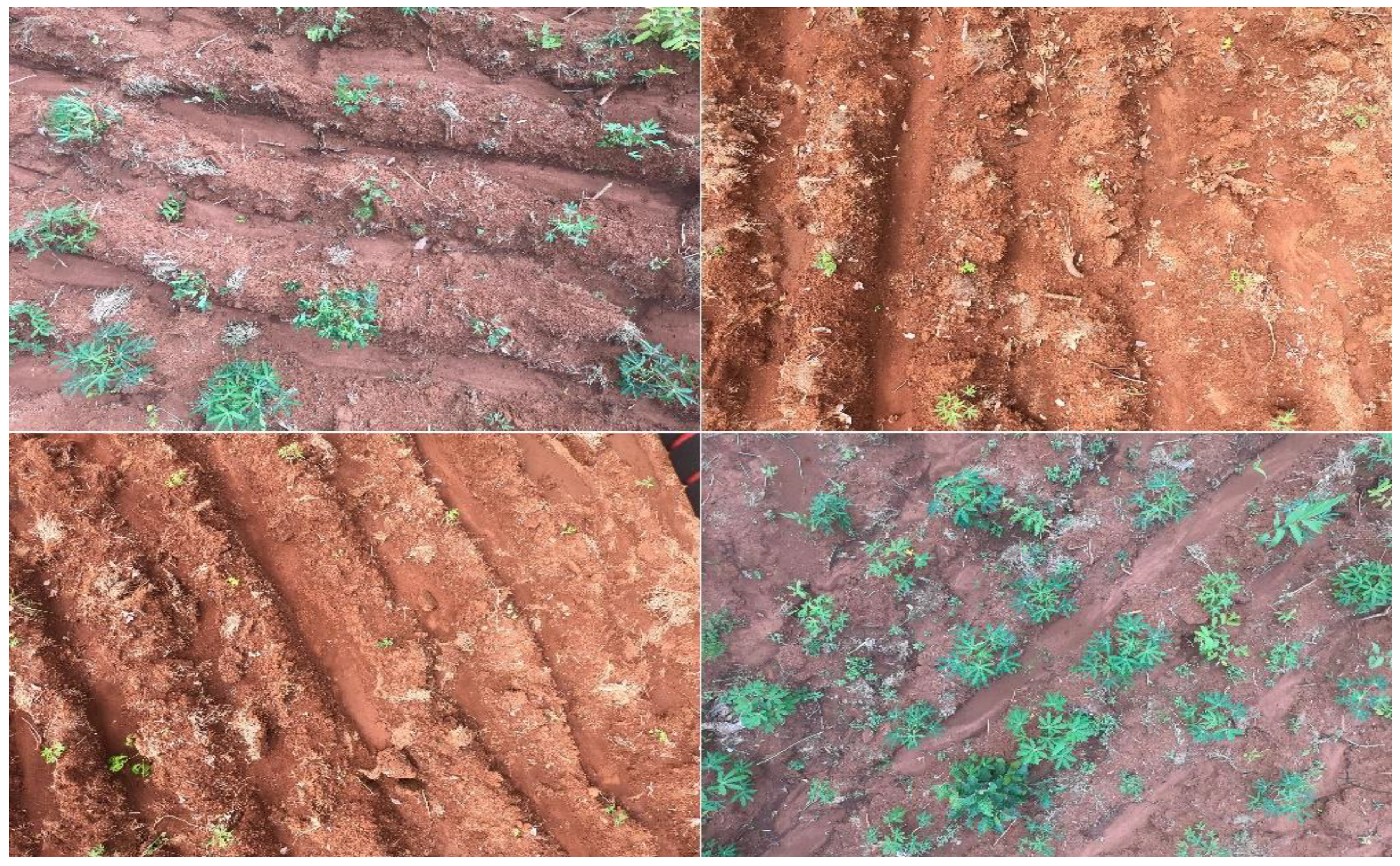 Remotesensing 15 02322 g002 Remotesensing 15 02322 g002