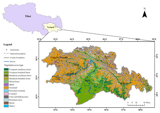 Spatio-Temporal Dynamic Characteristics of Carbon Use Efficiency