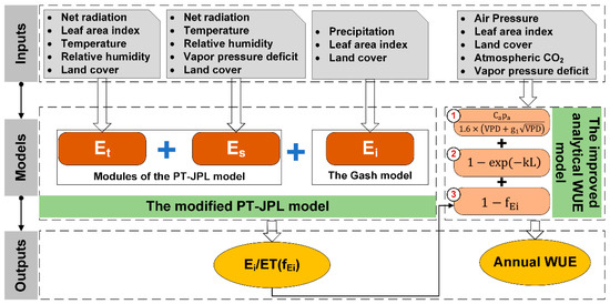 Disentangling the Key Drivers of Ecosystem Water-Use