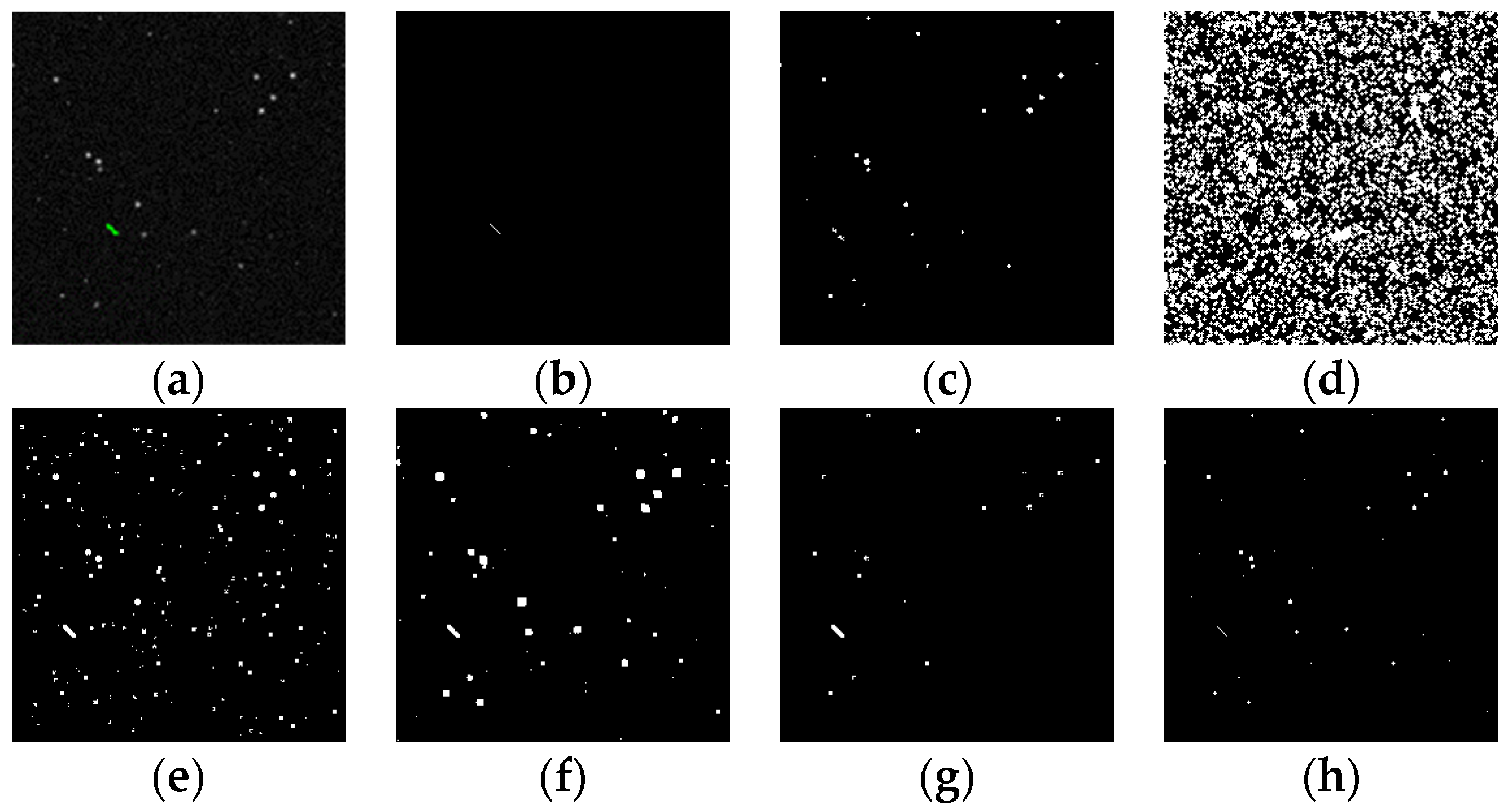 Remotesensing 15 02455 g015