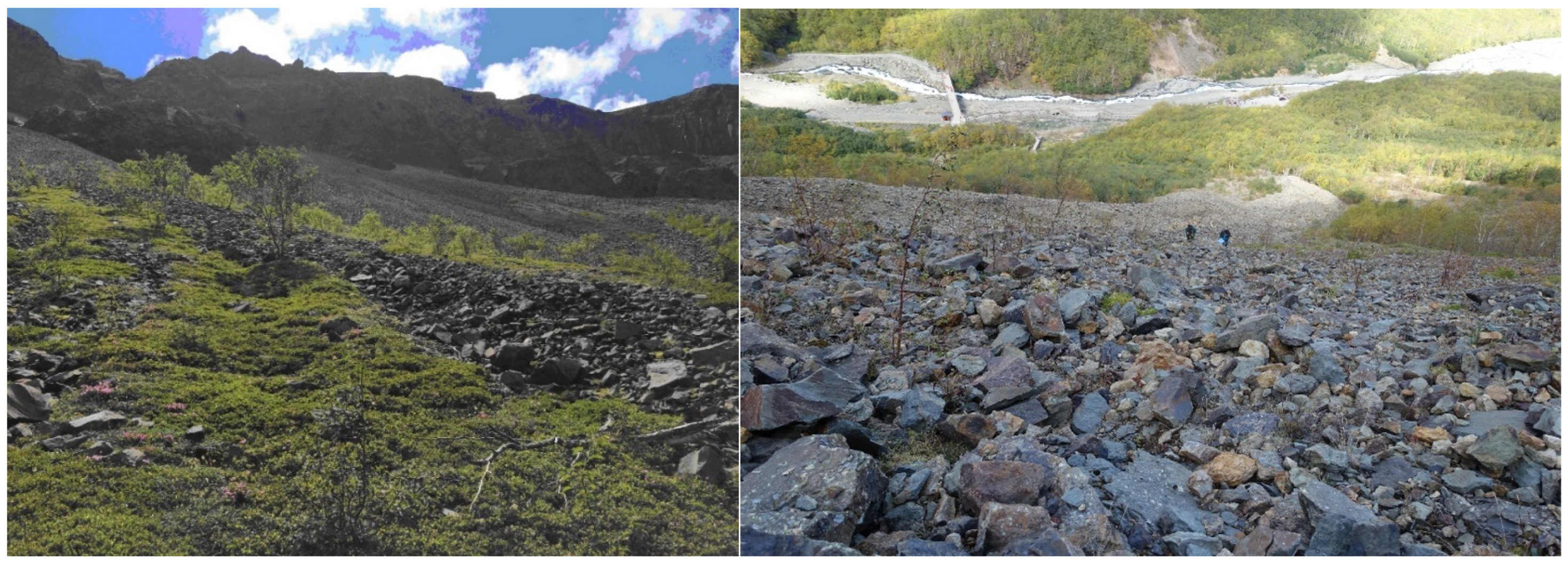 Remotesensing 15 02473 g008 Remotesensing 15 02473 g008