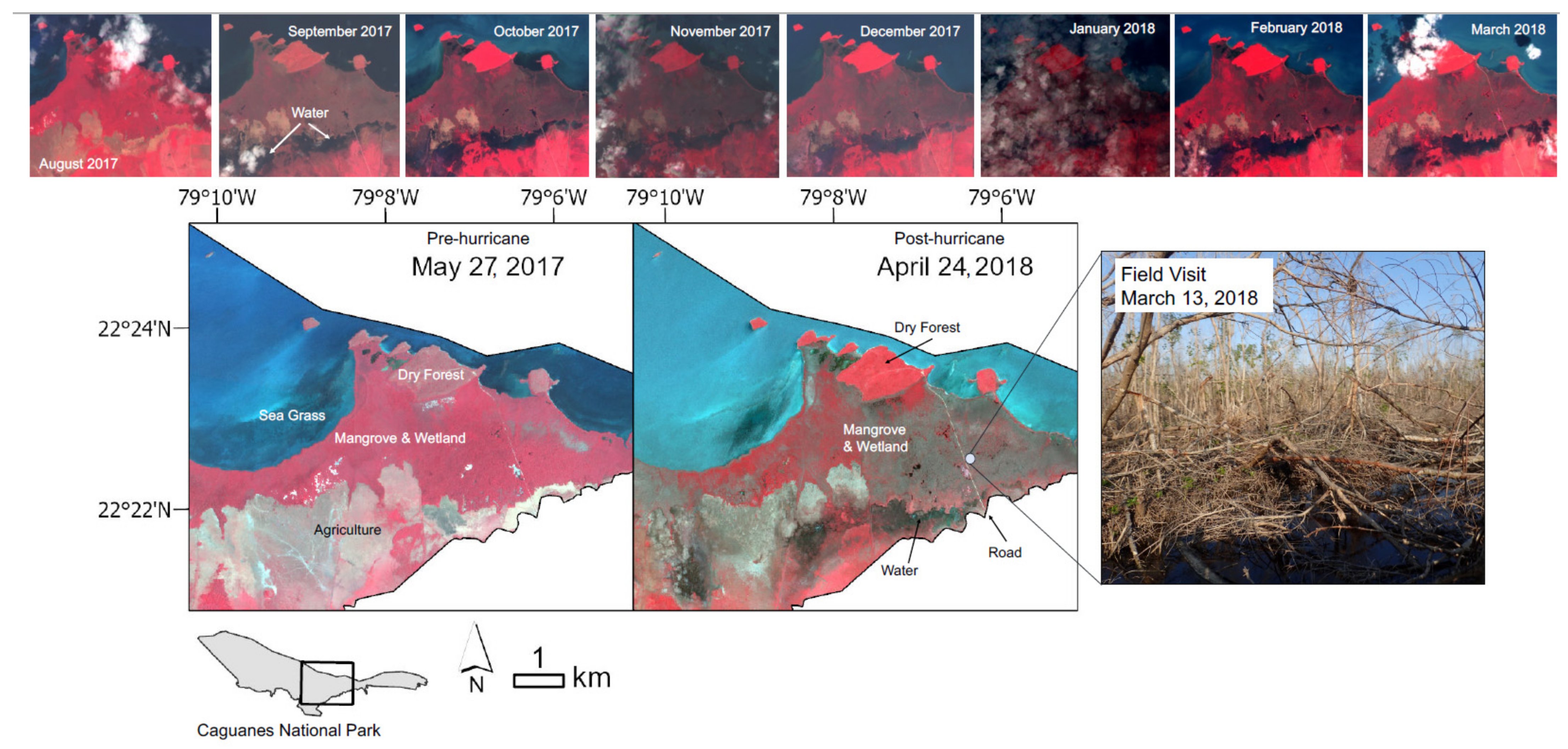 Remotesensing 15 02495 g004