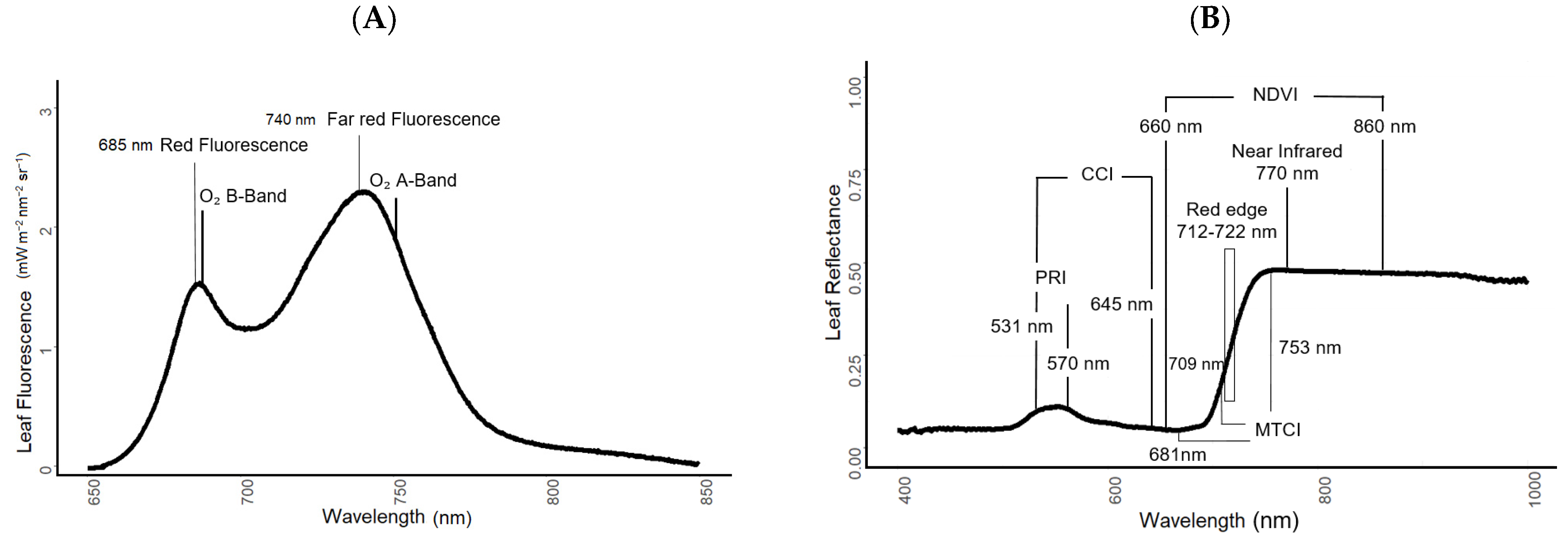 Remotesensing 15 02498 g003 Remotesensing 15 02498 g003
