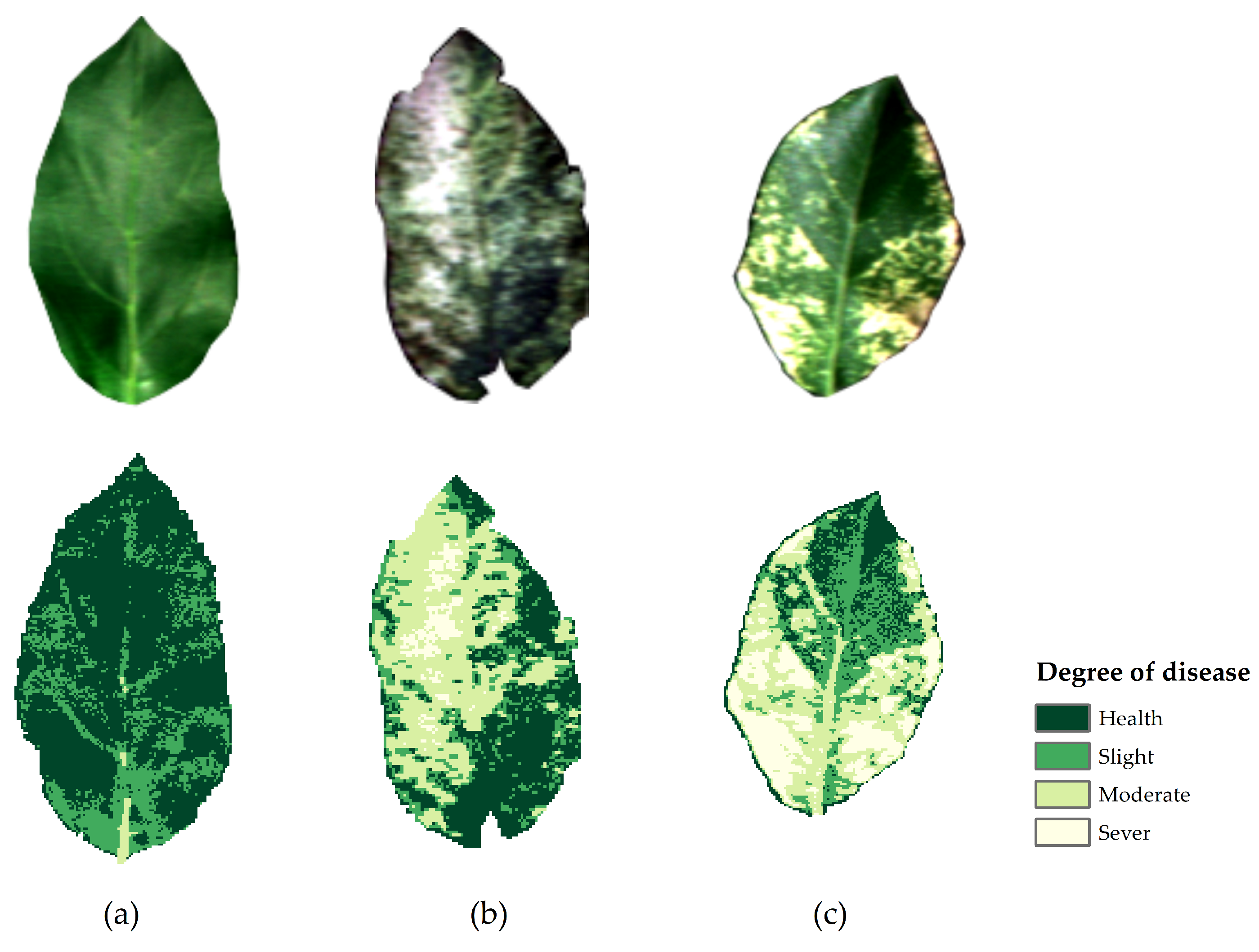 Remotesensing 15 02504 g008 Remotesensing 15 02504 g008