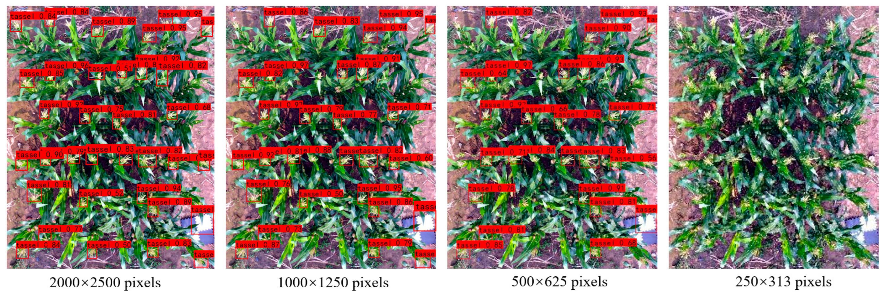 Remotesensing 15 02530 g010