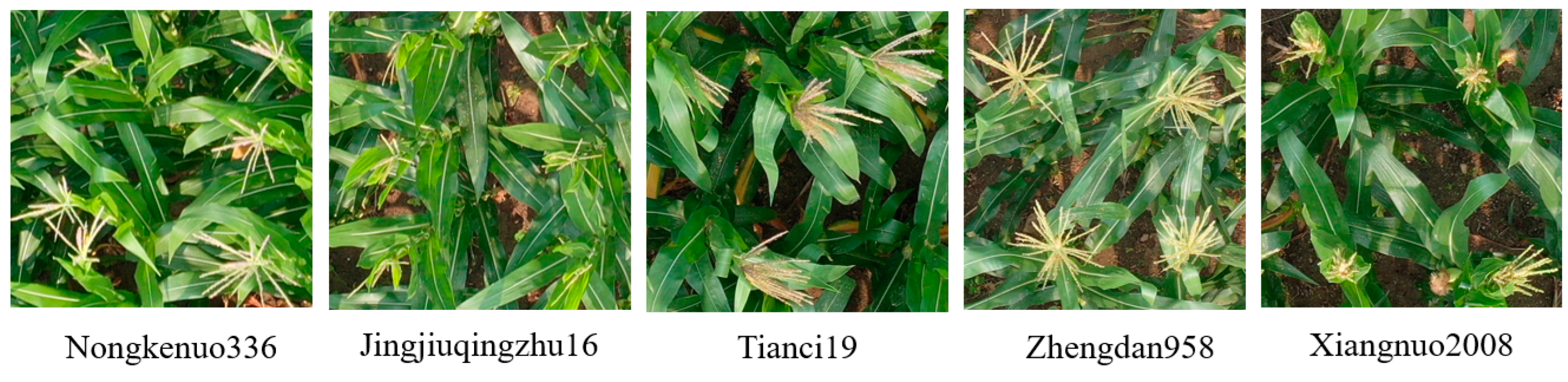 Remotesensing 15 02530 g012