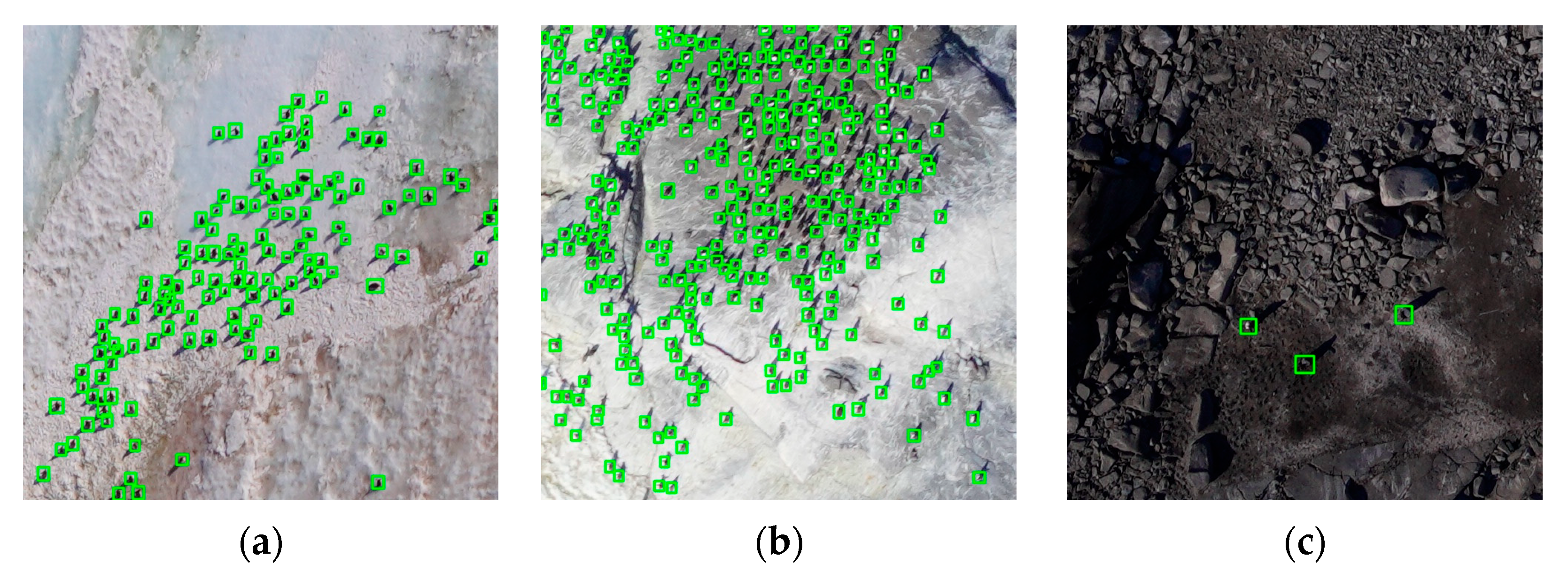 Remotesensing 15 02598 g010b