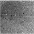 Remotesensing 15 02599 i001 Remotesensing 15 02599 i001