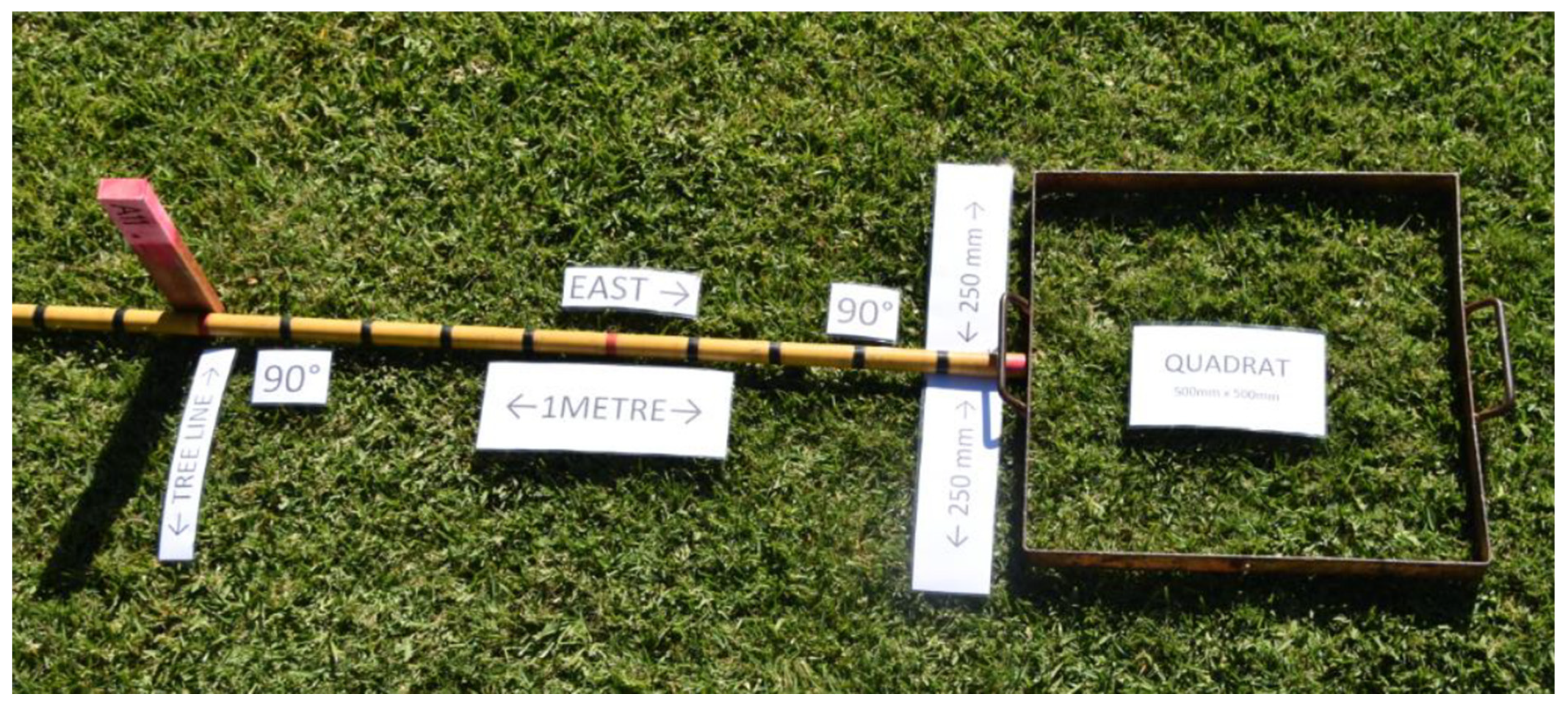 Remotesensing 15 02621 g002