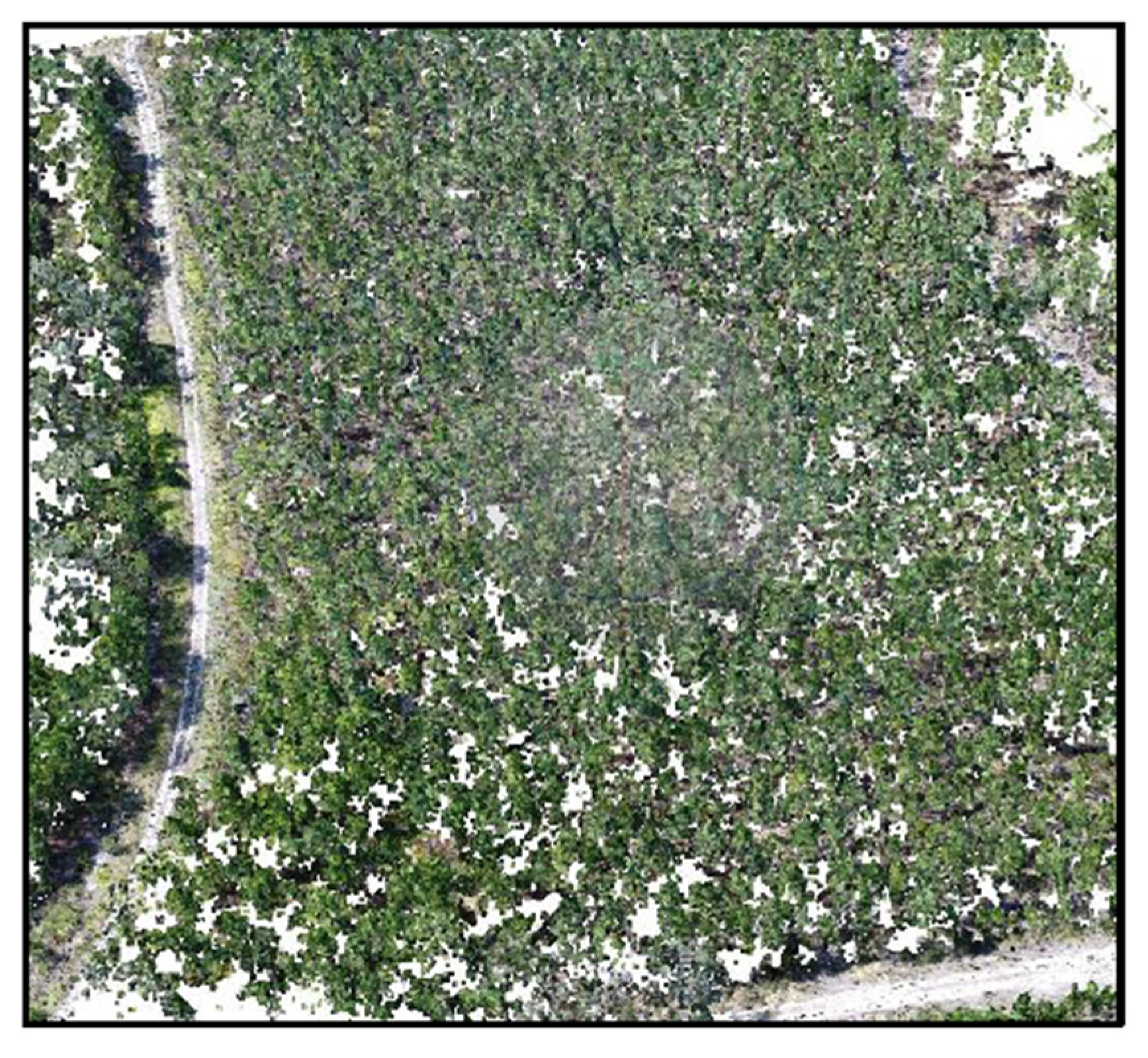 Remotesensing 15 02621 g007