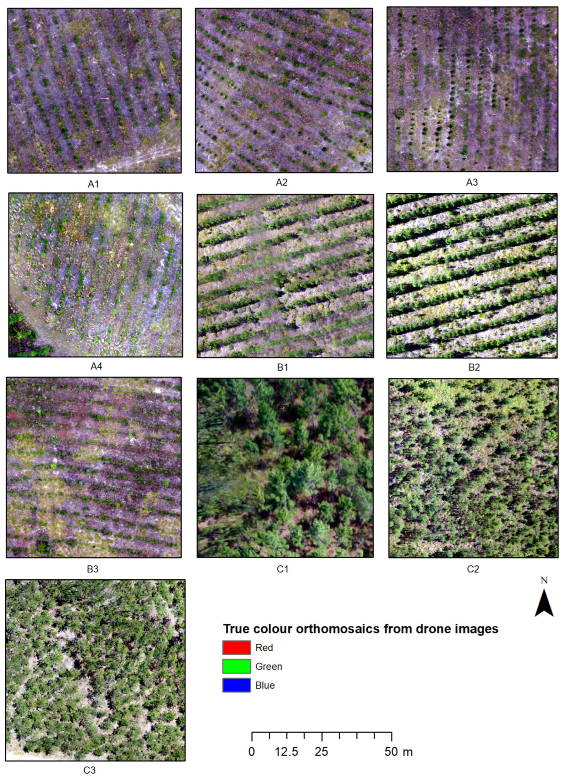 Remotesensing 15 02621 g008