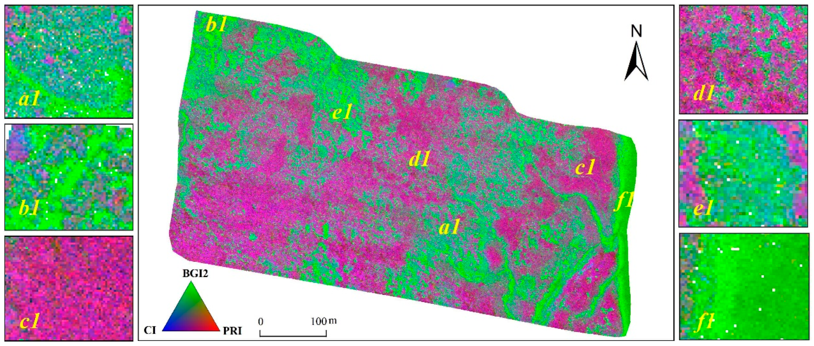 Remotesensing 15 02622 g011