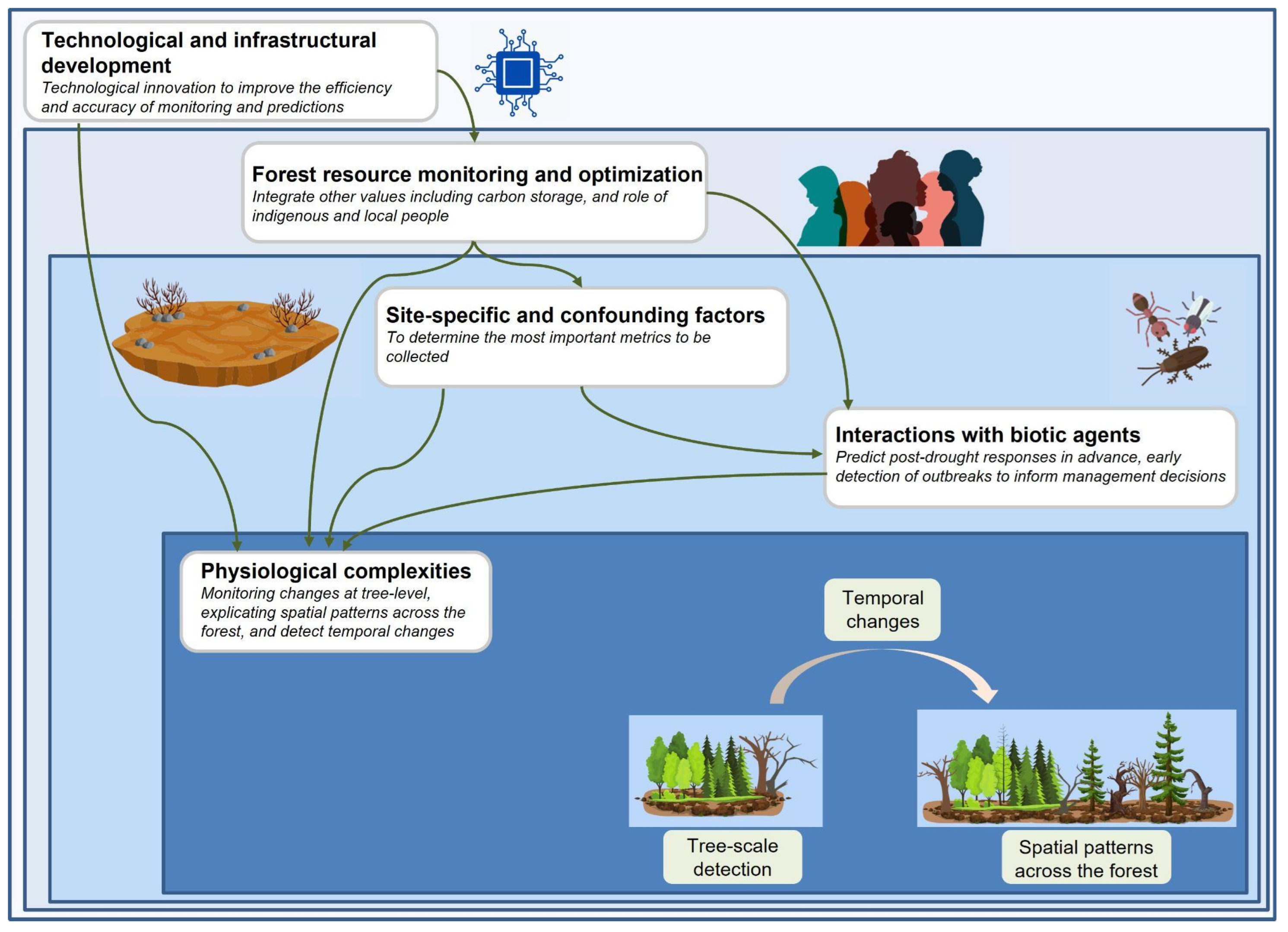 Frontiers  Growth patterns and environmental adaptions of the tree species  planted for ecological remediation in typhoon-disturbed areas—A case study  in Zhuhai, China