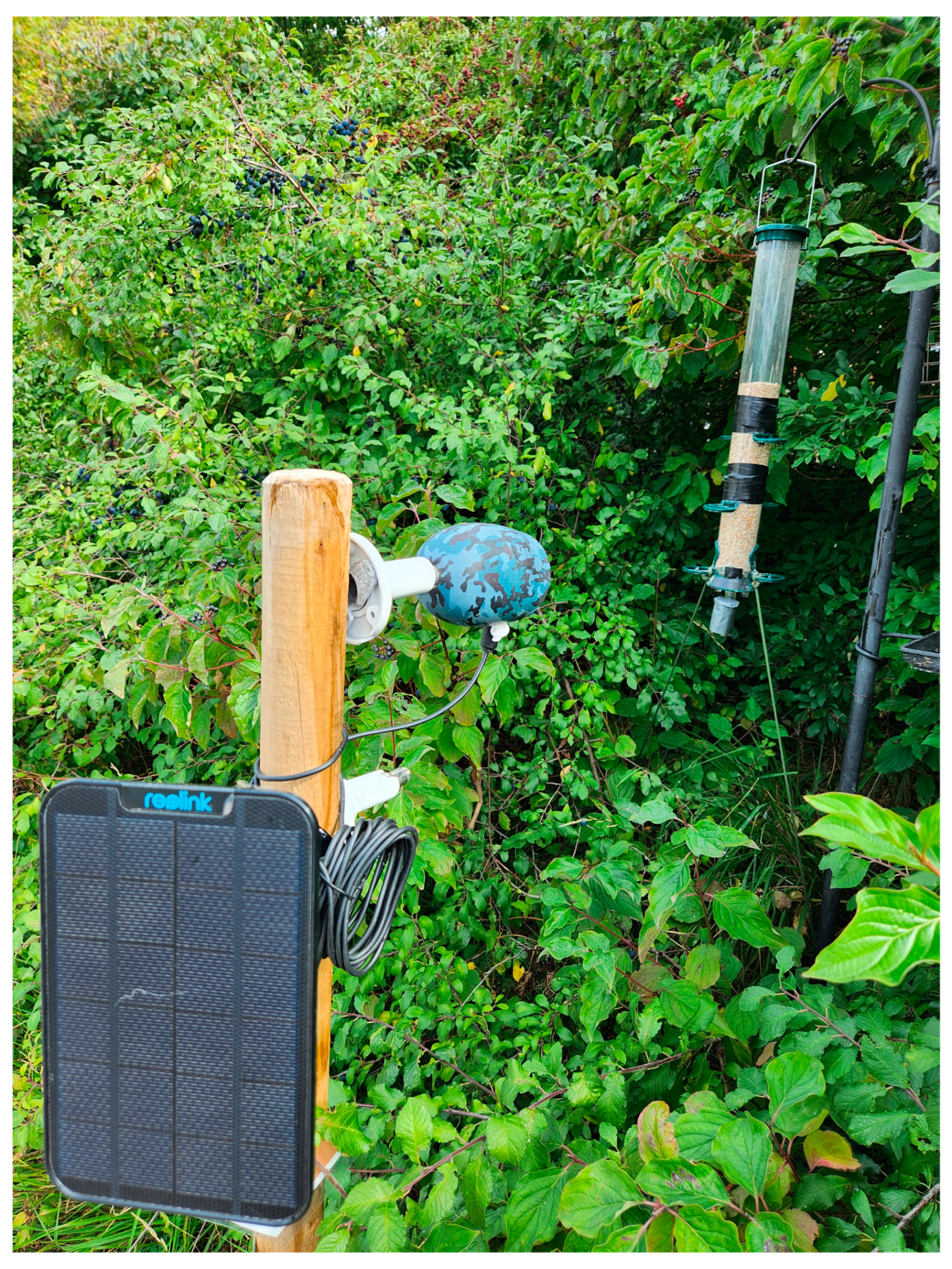 Remotesensing 15 02638 g005