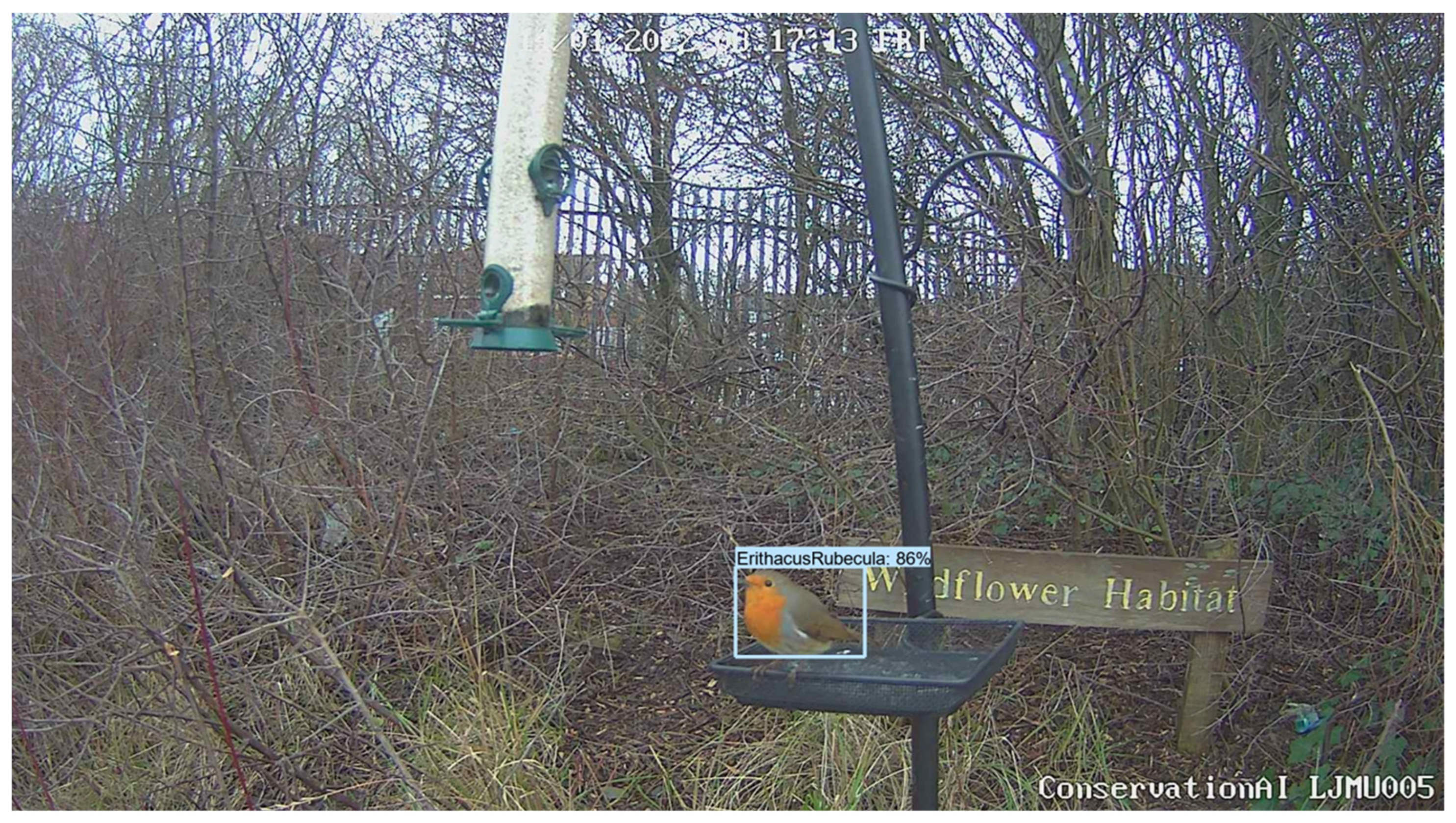 Remotesensing 15 02638 g011