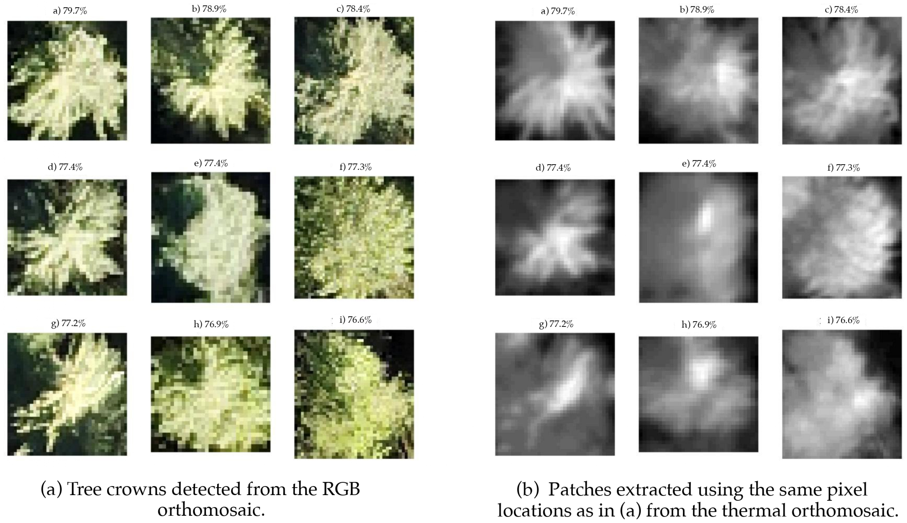 Remotesensing 15 02653 g011
