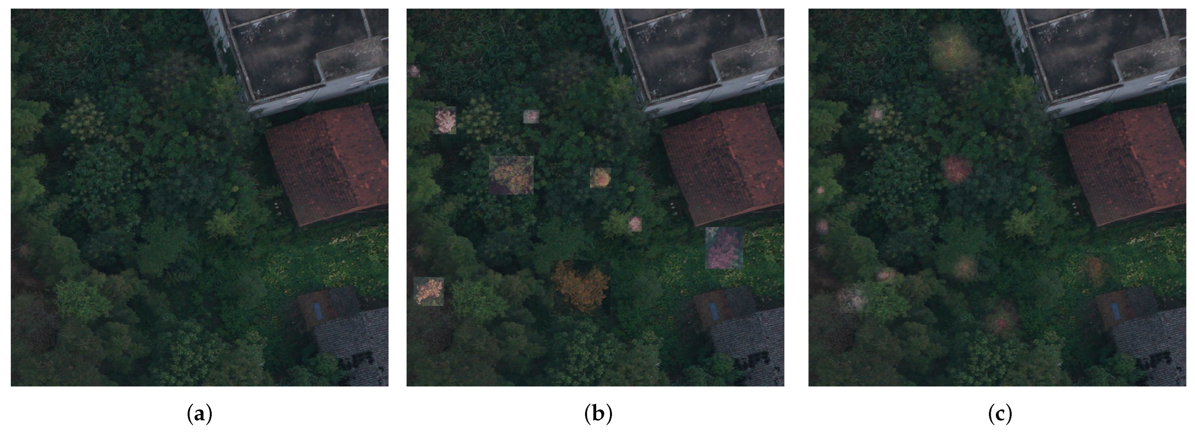 Remotesensing 15 02671 g006