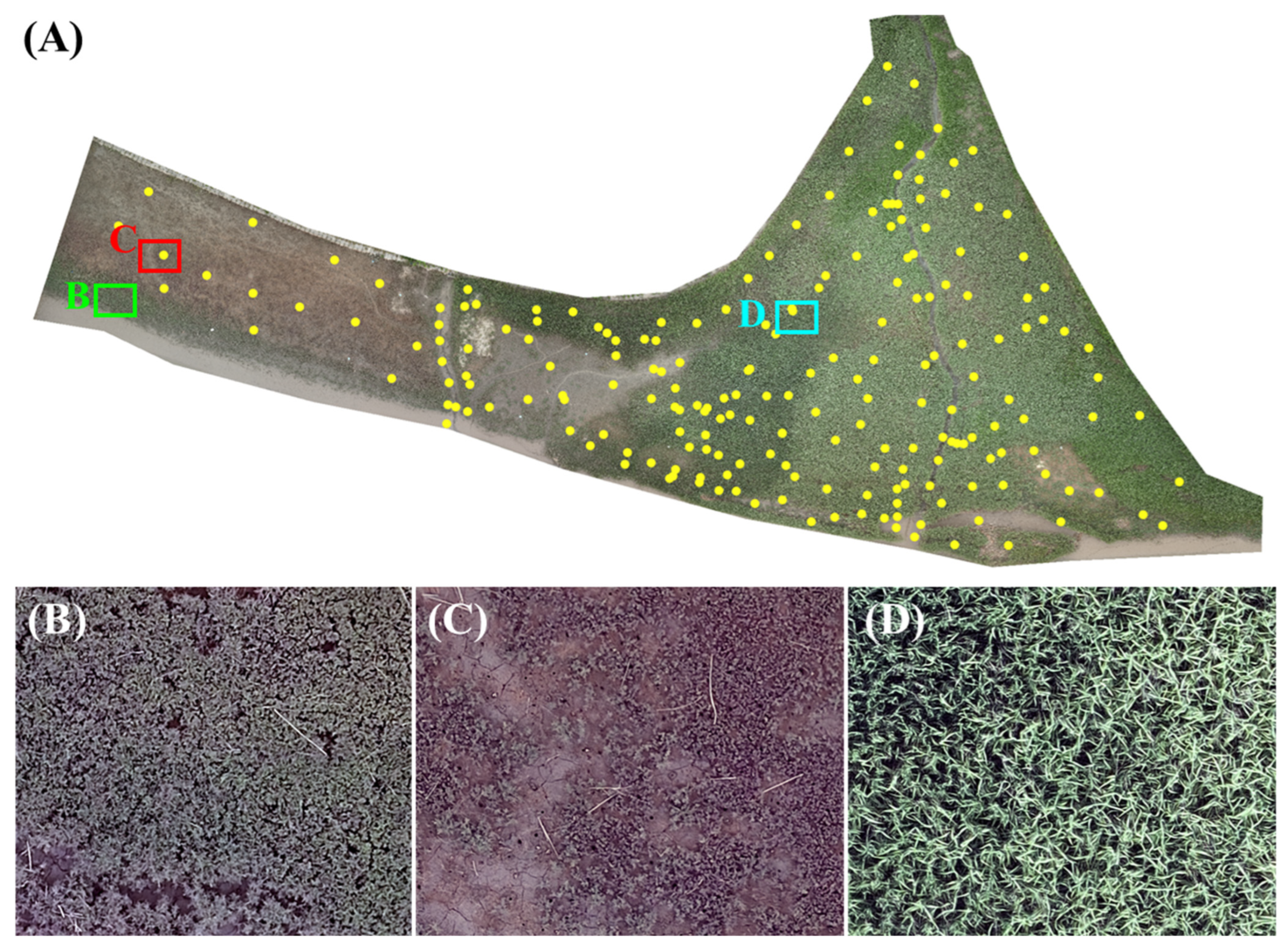 Remotesensing 15 02723 g002 Remotesensing 15 02723 g002