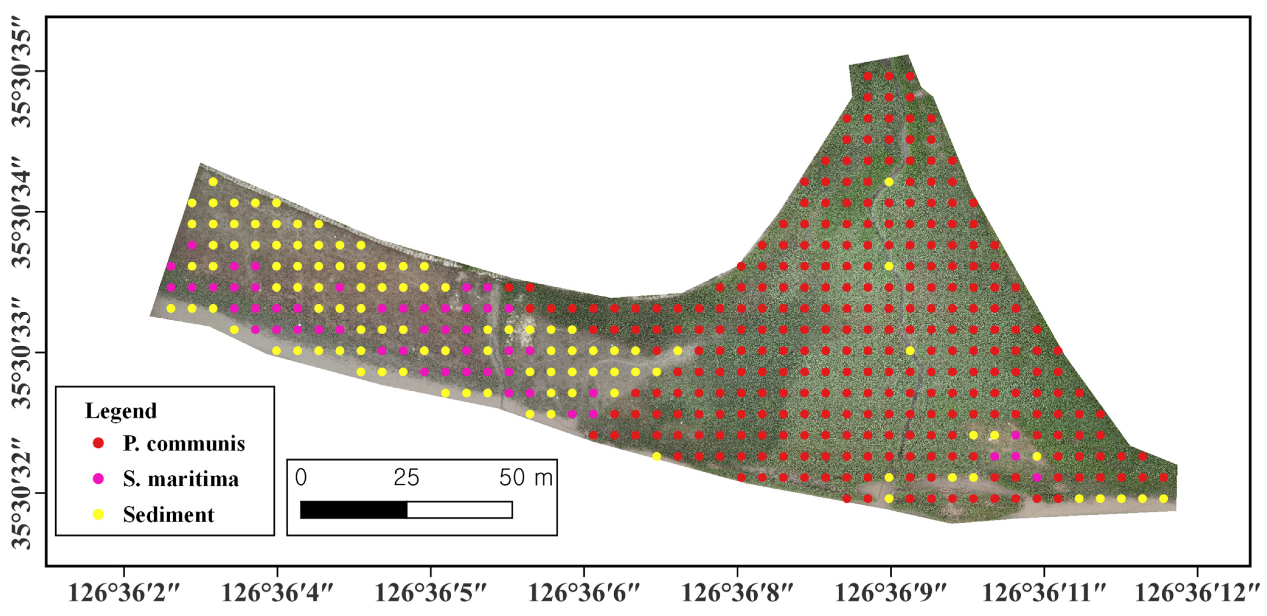 Remotesensing 15 02723 g005 Remotesensing 15 02723 g005