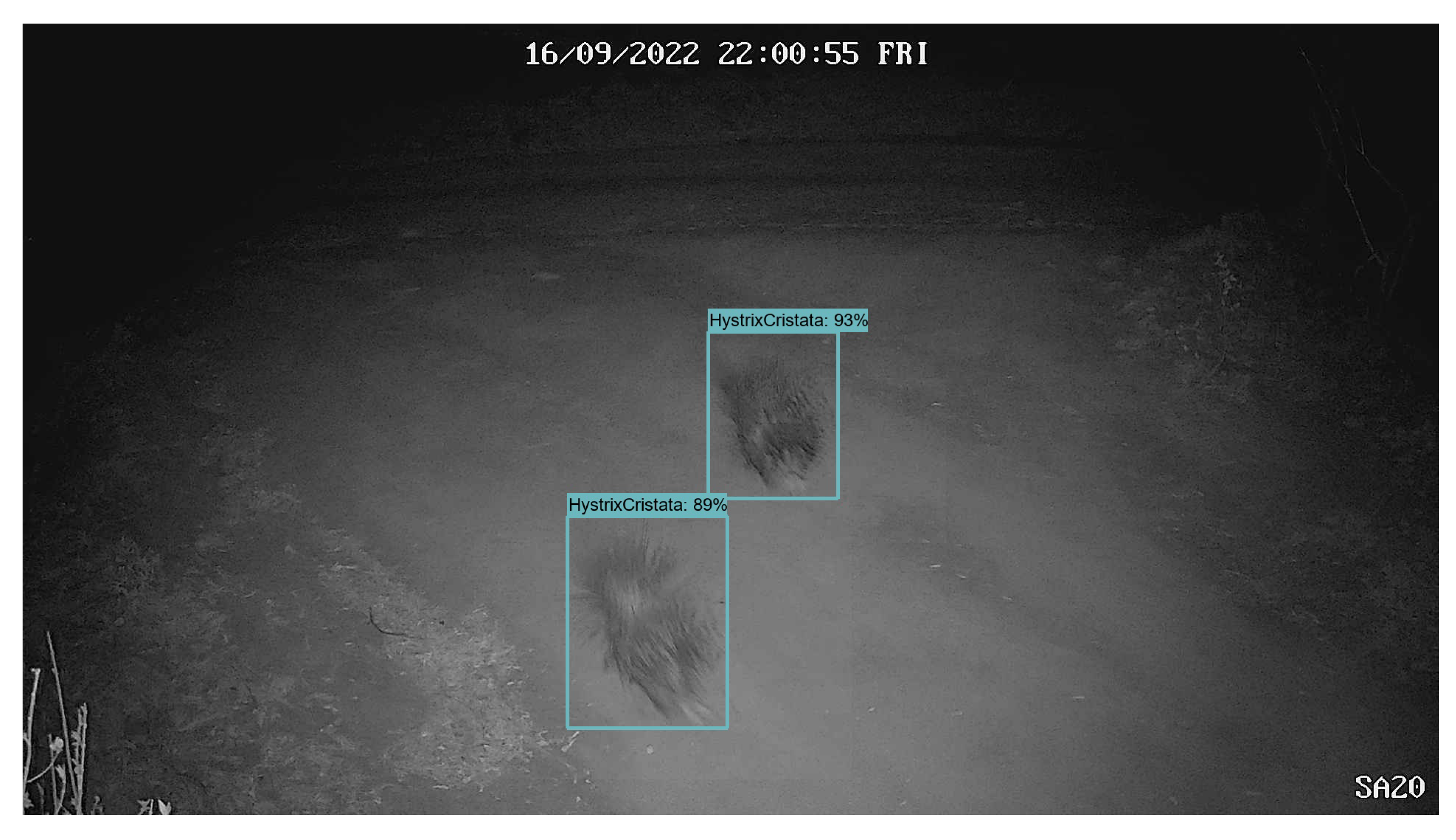 Remotesensing 15 02730 g011