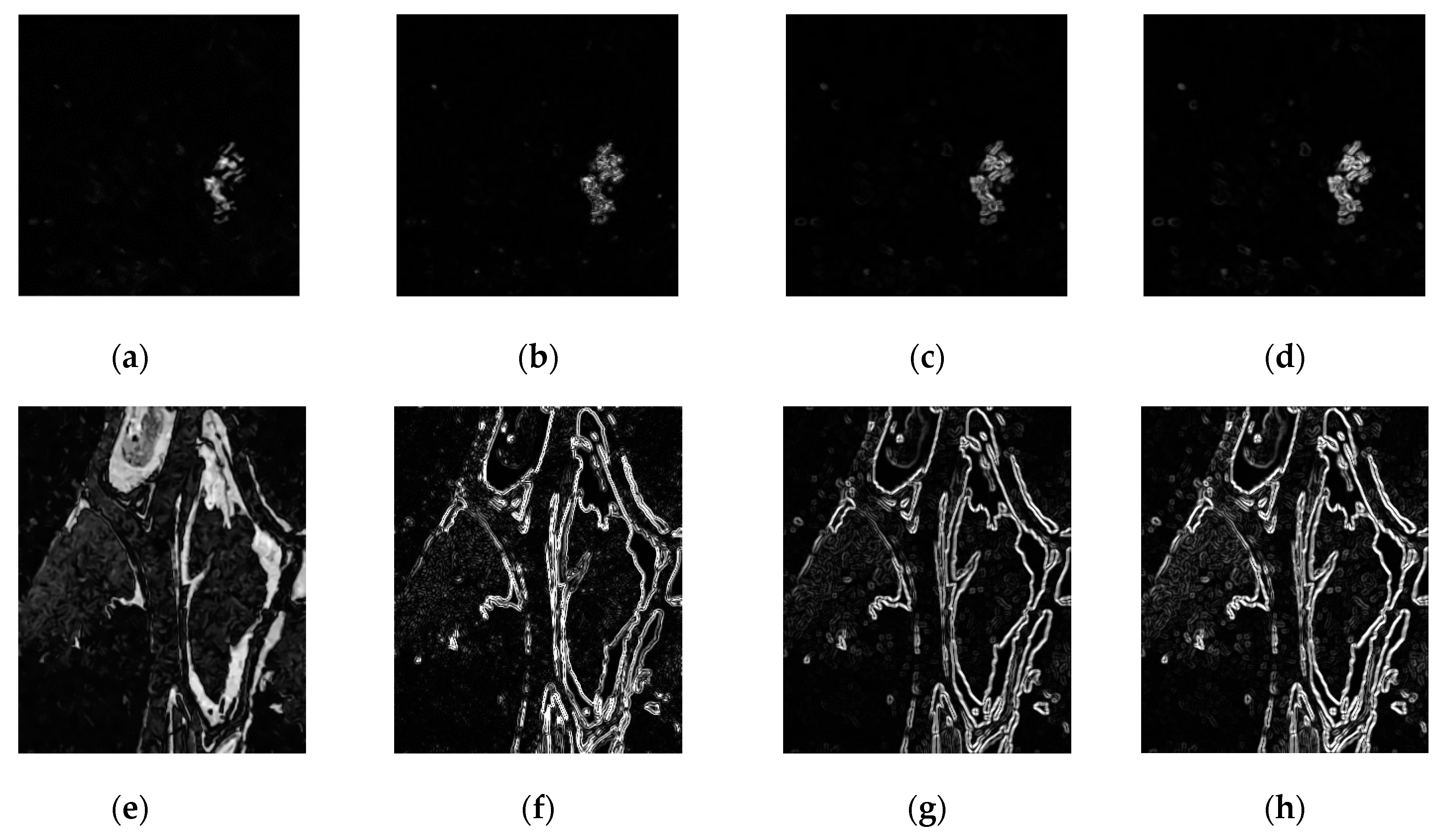 Remotesensing 15 02741 g008