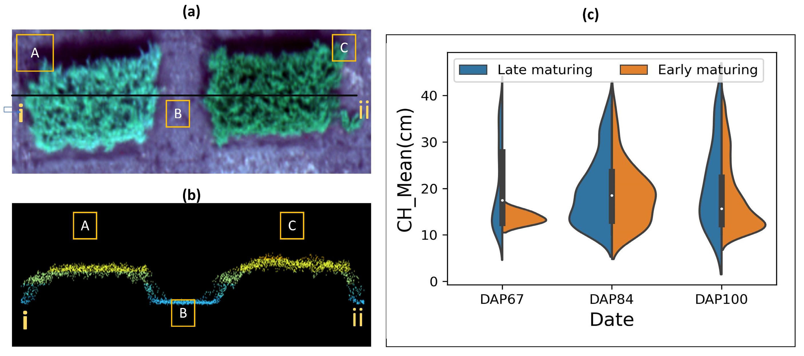 Remotesensing 15 02758 g011