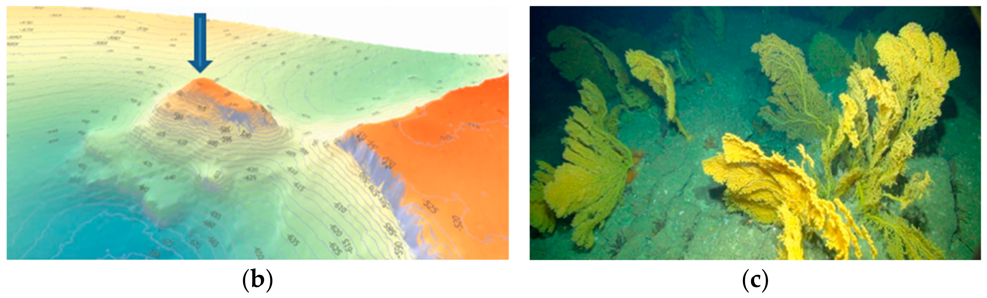 Remotesensing 15 02777 g001b Remotesensing 15 02777 g001b