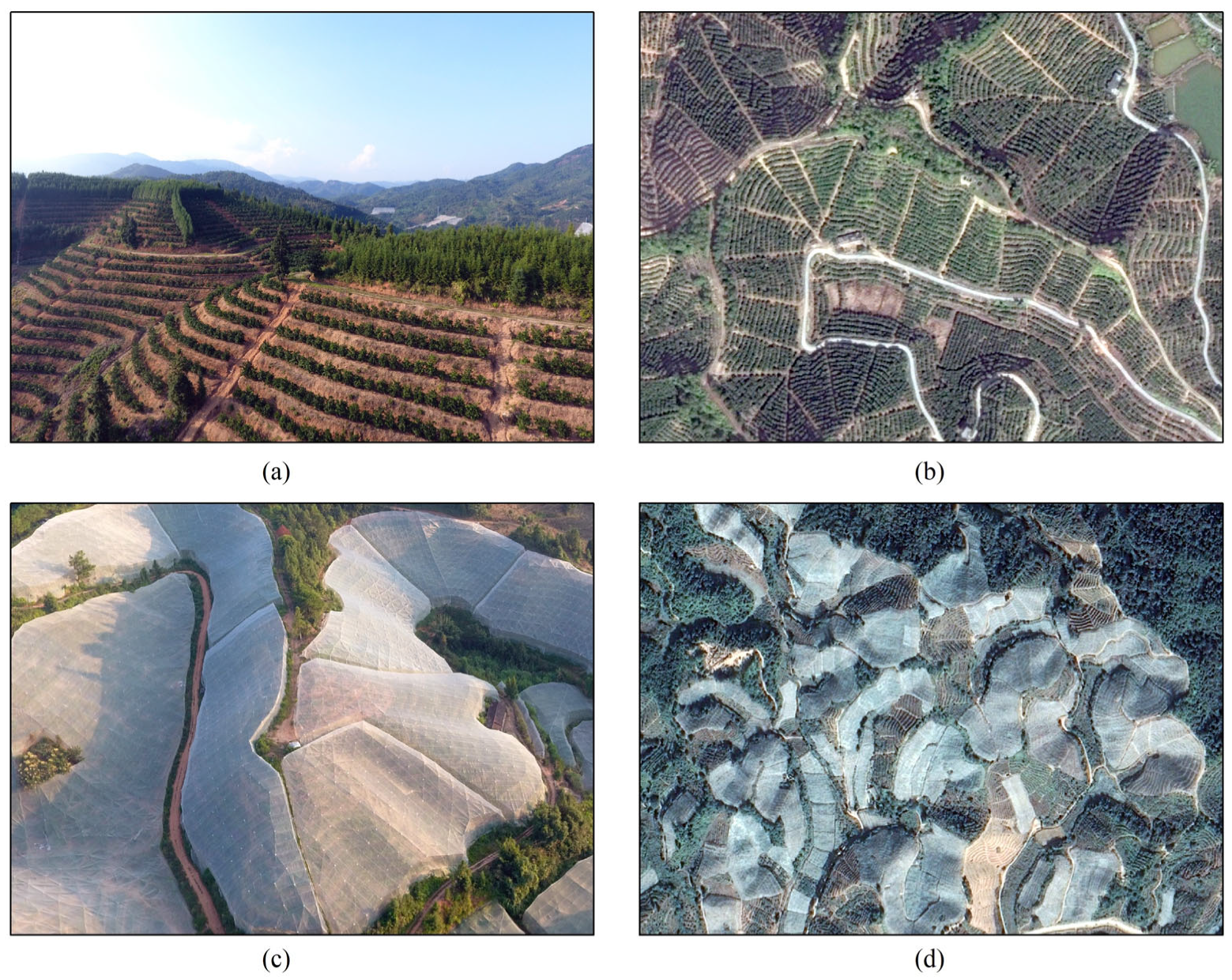 Remotesensing 15 02867 g002