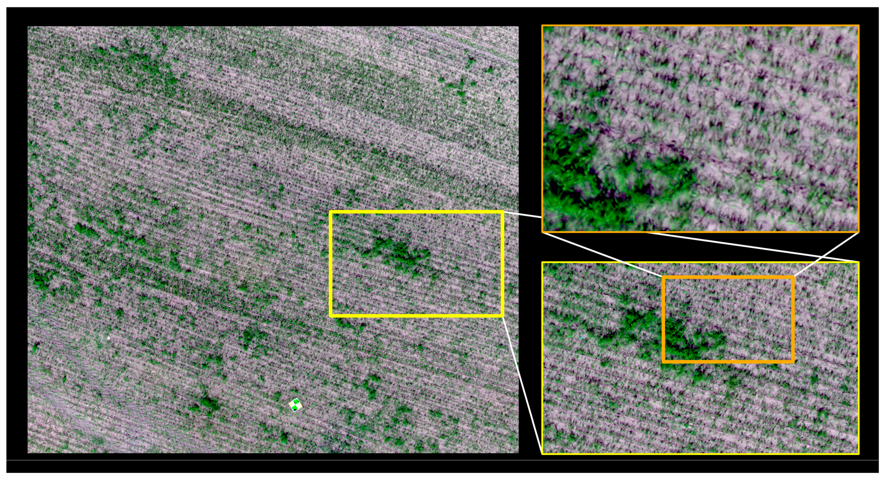 Remotesensing 15 02877 g003