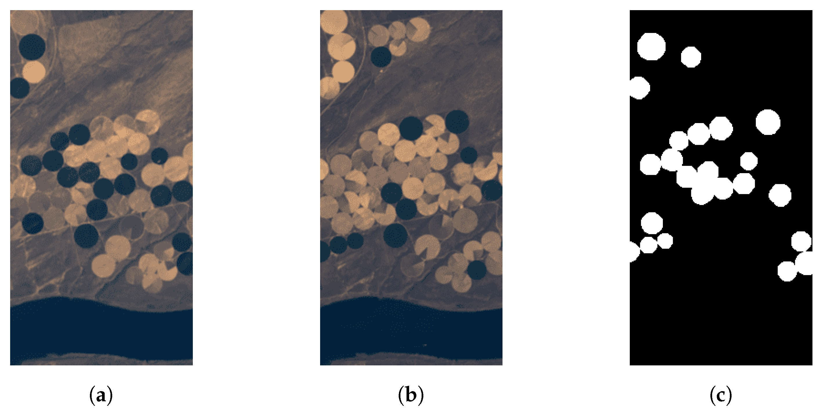 Remotesensing 15 02889 g001 Remotesensing 15 02889 g001